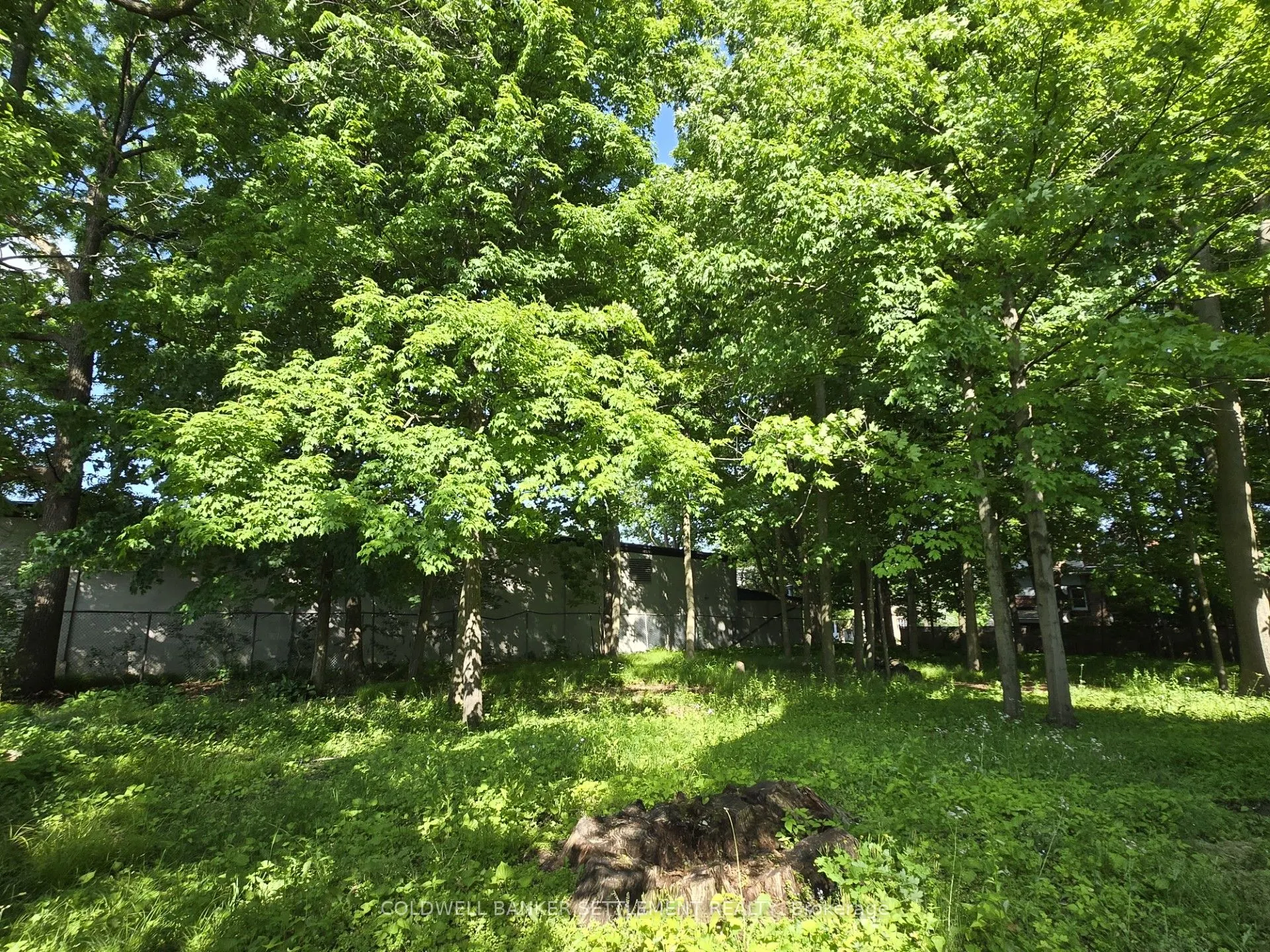 3 Drummond Street E