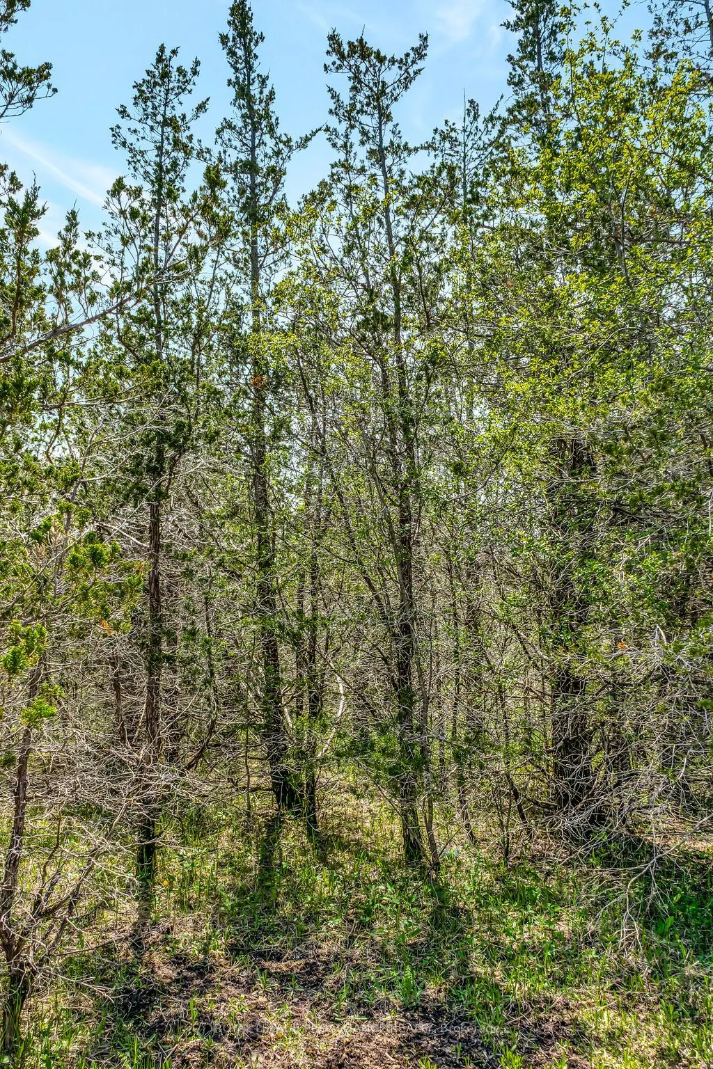 Lot 3 Hill Top Road