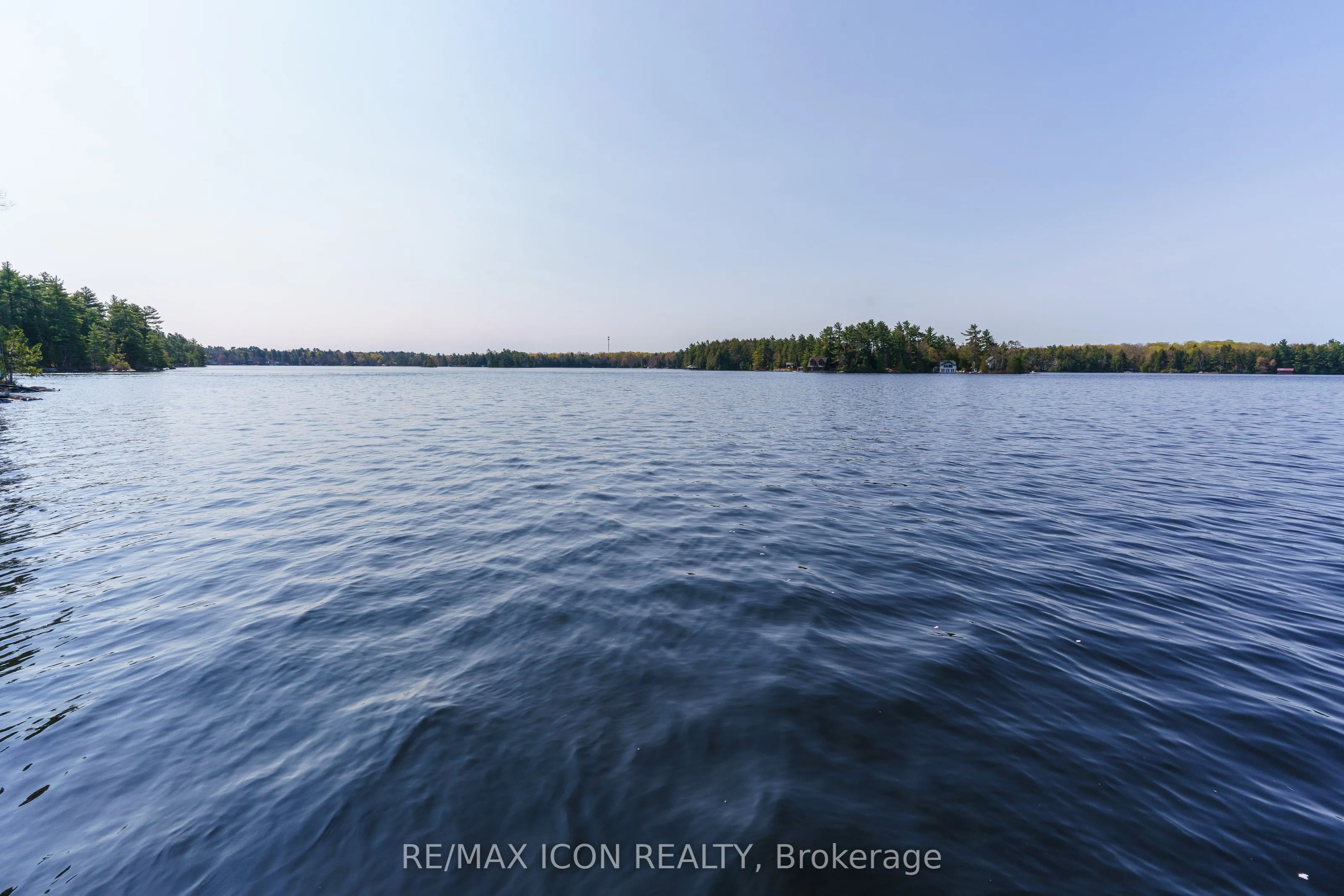 99 Bala Park Island