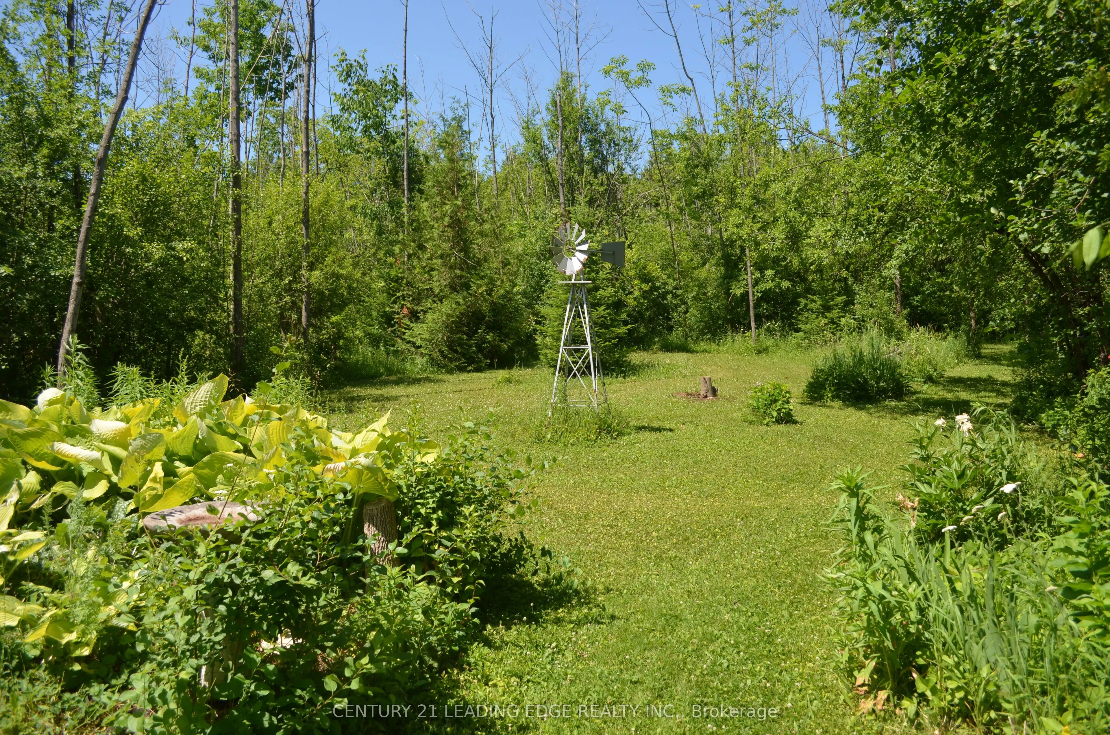 259 George Drive