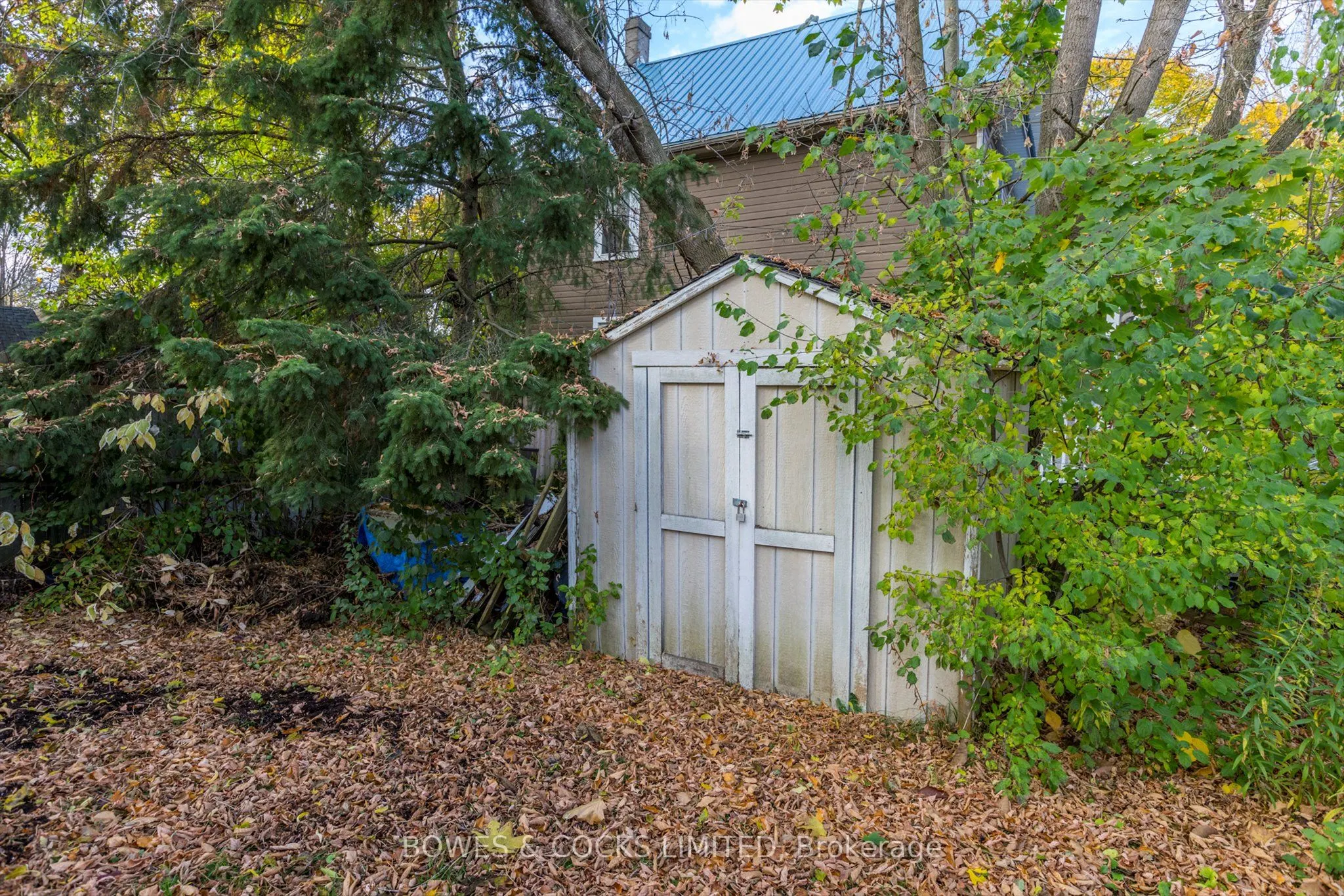633 Downie Street