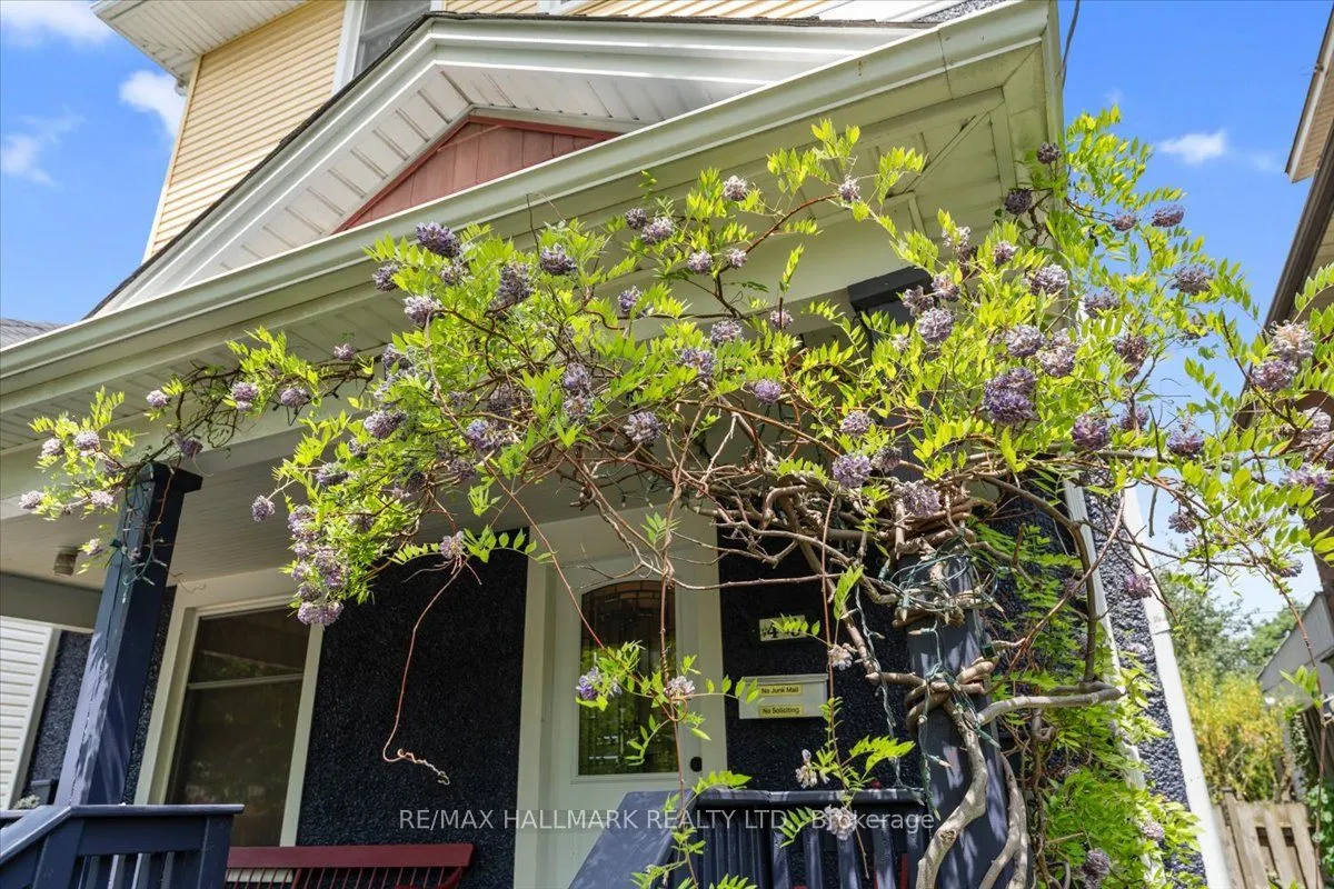 43 Albert Street