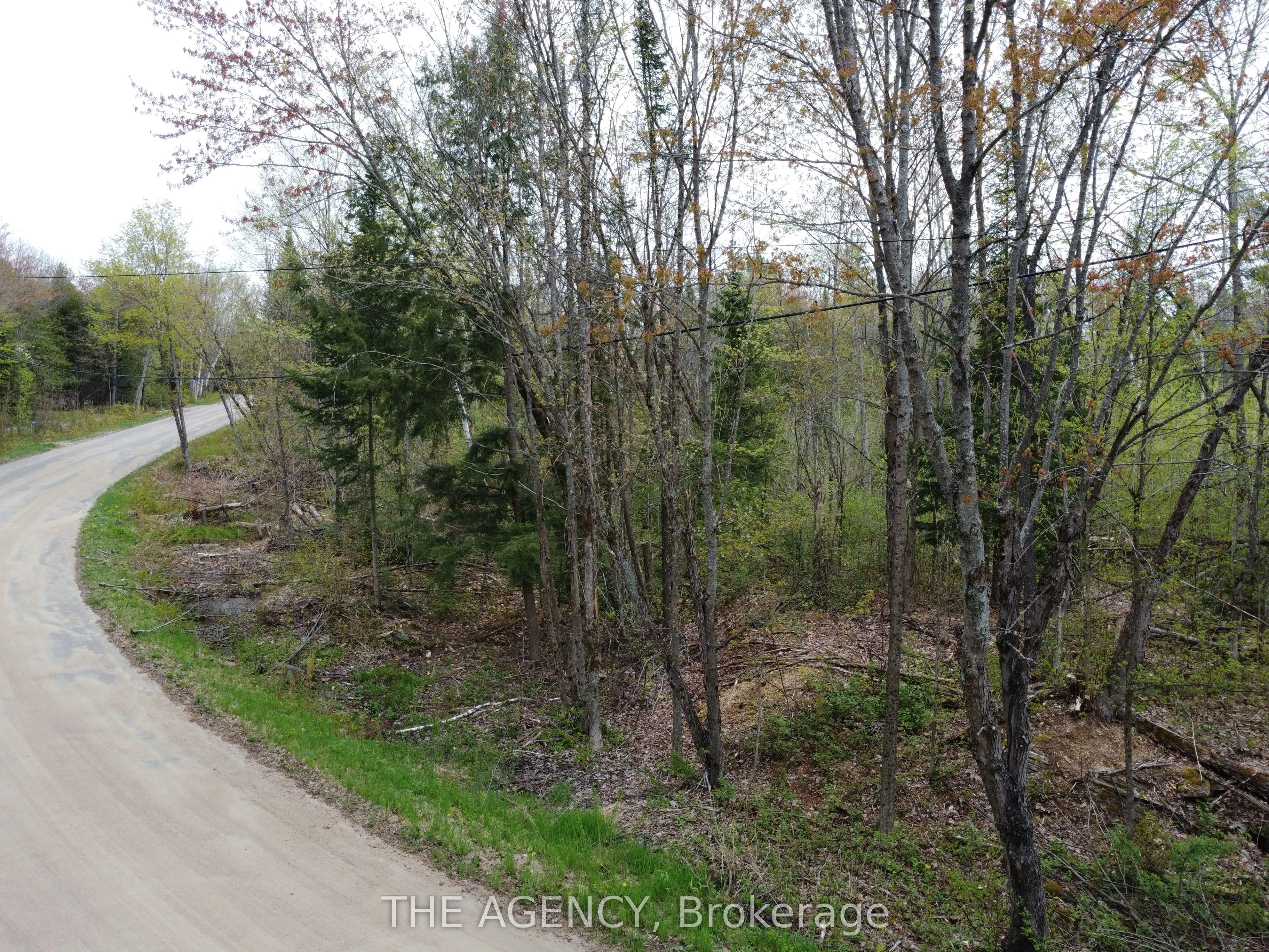 PCL 21380 Walker Lake Drive E