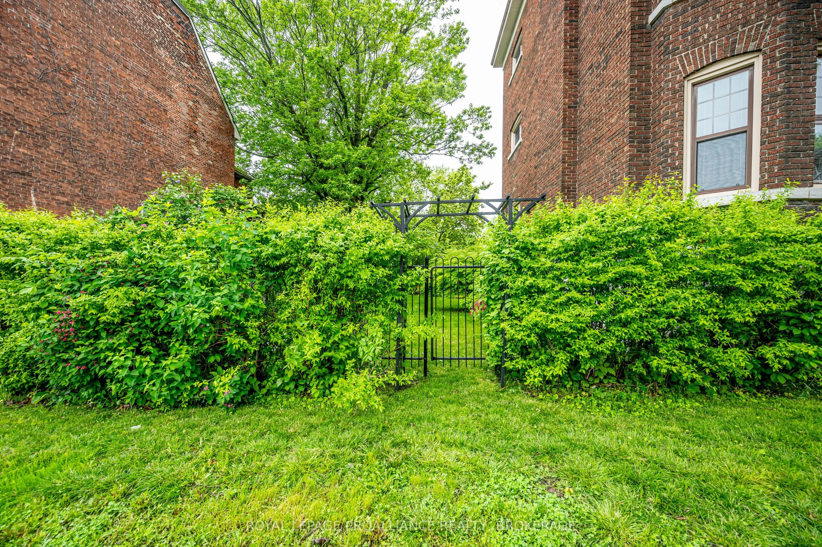 244 Barrie Street, #2