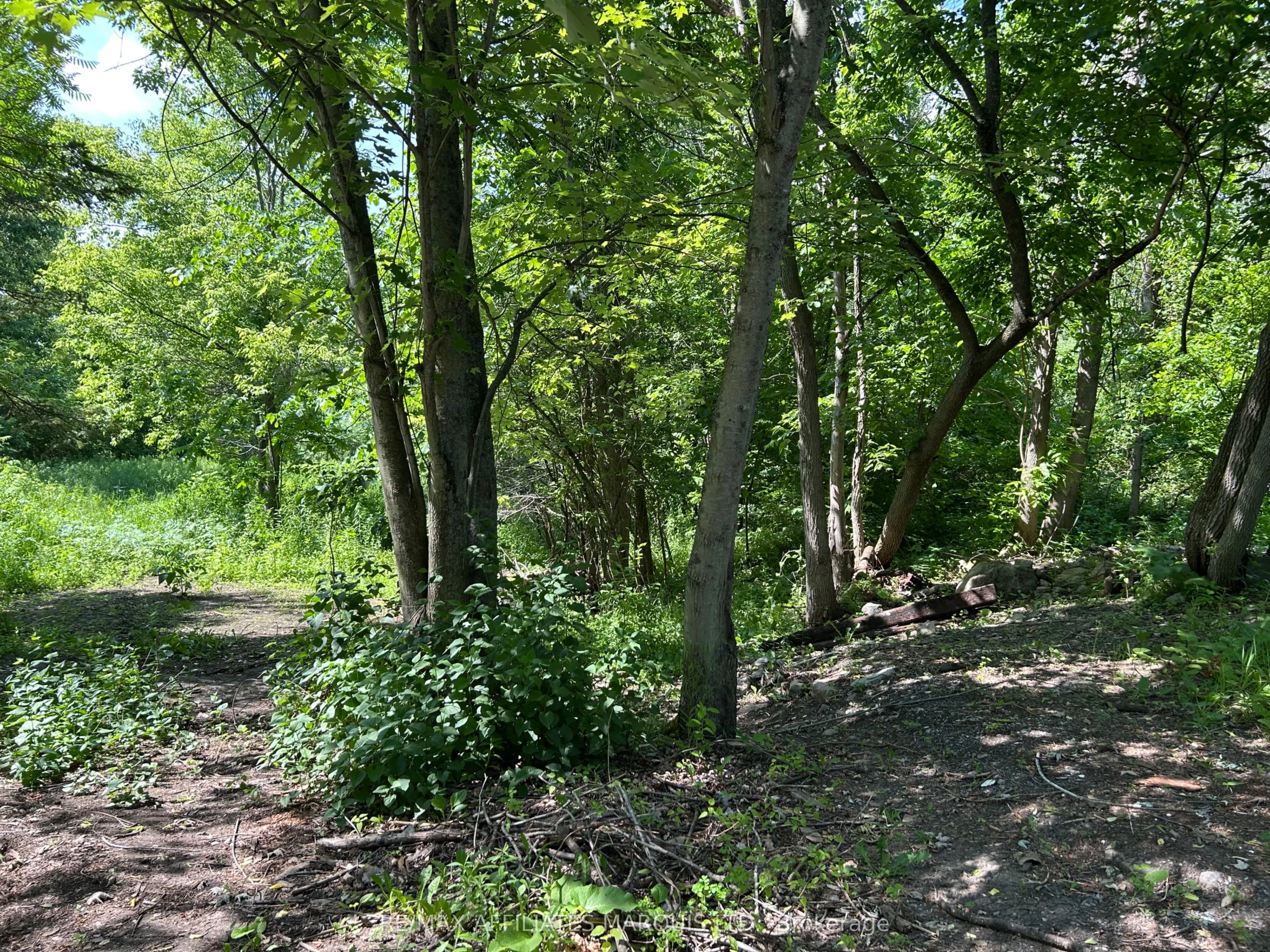 16517 Black River Road