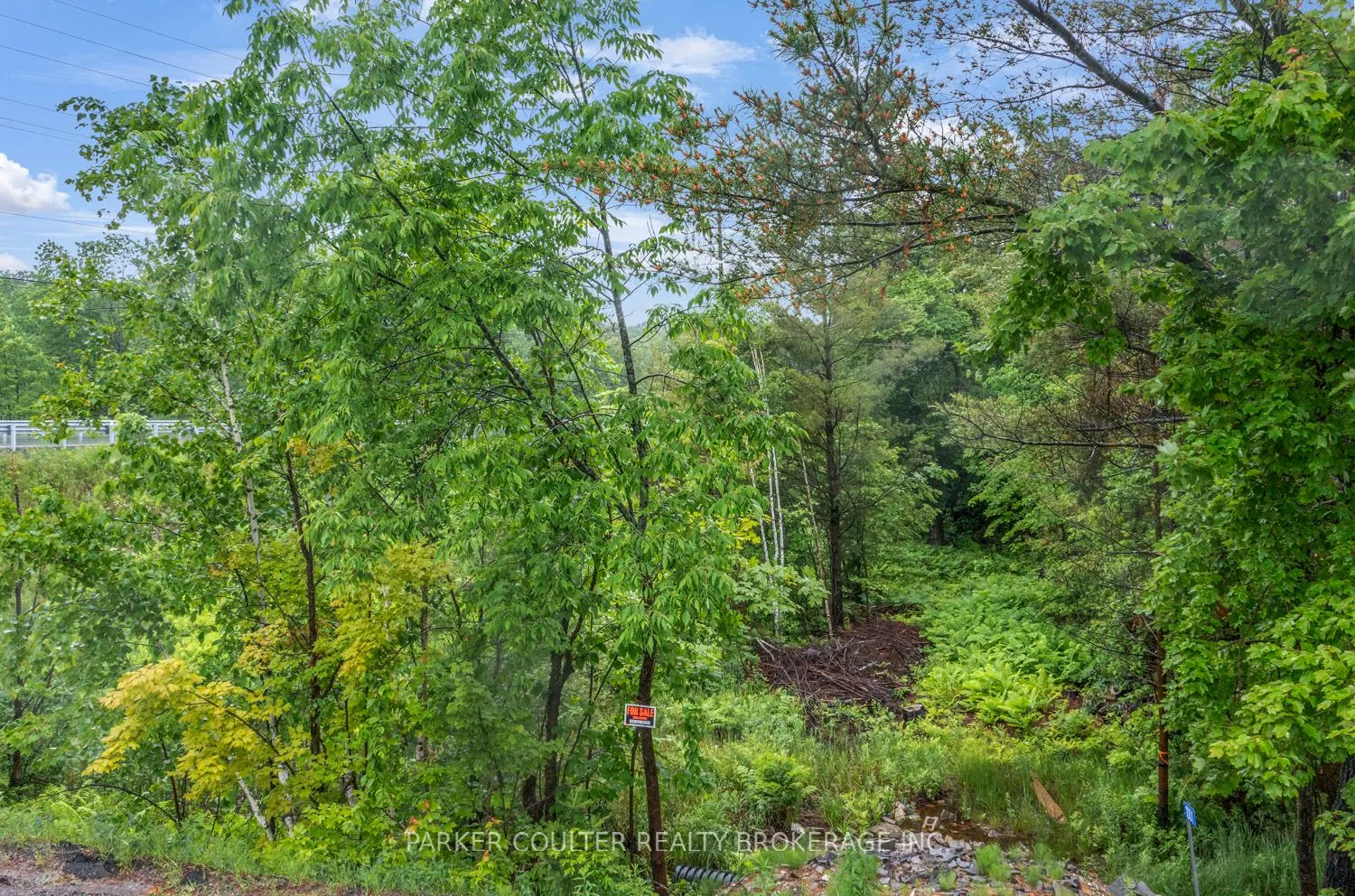 1001 Woodroffe Road