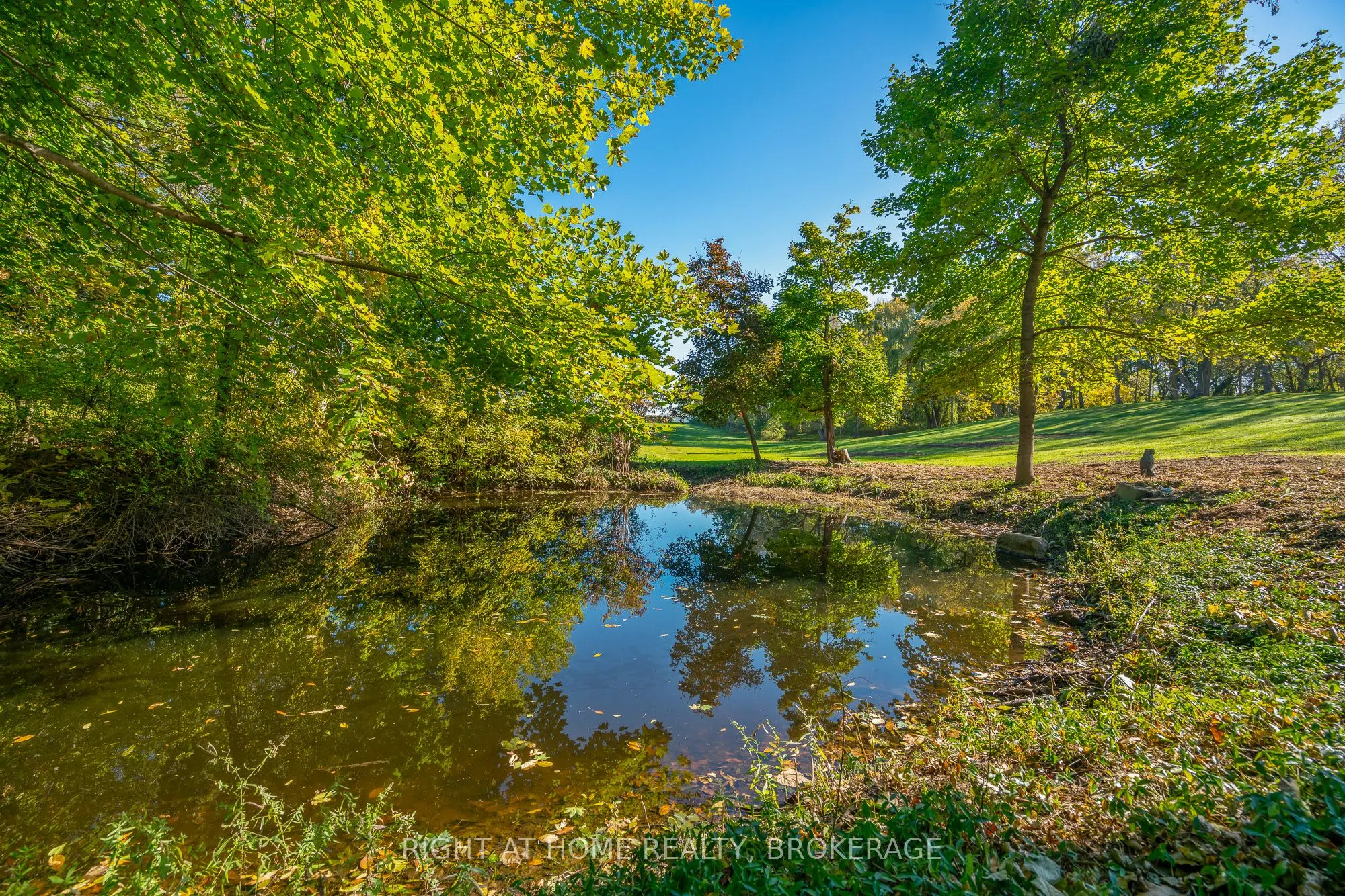1353 MCNAB Road