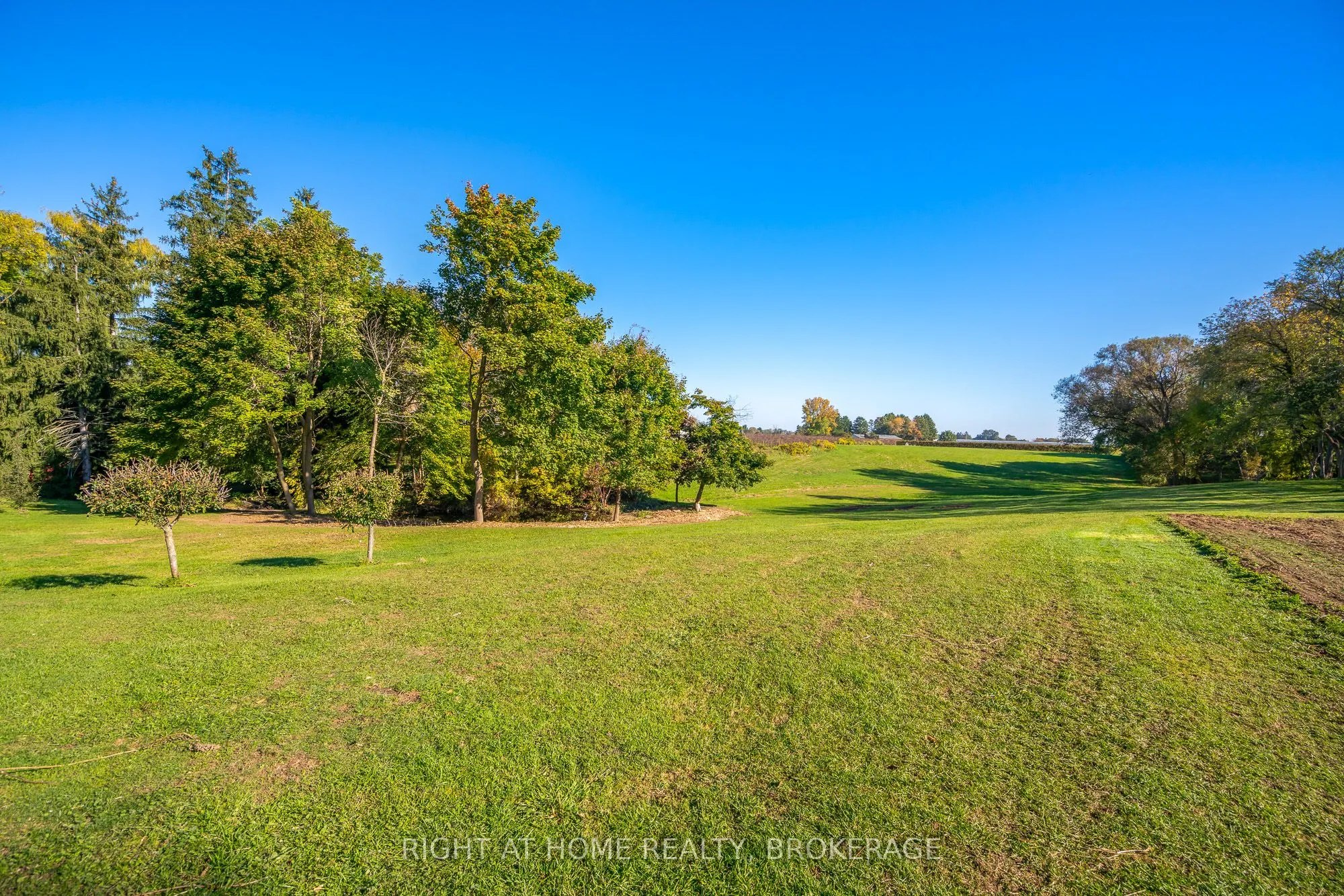 1353 MCNAB Road