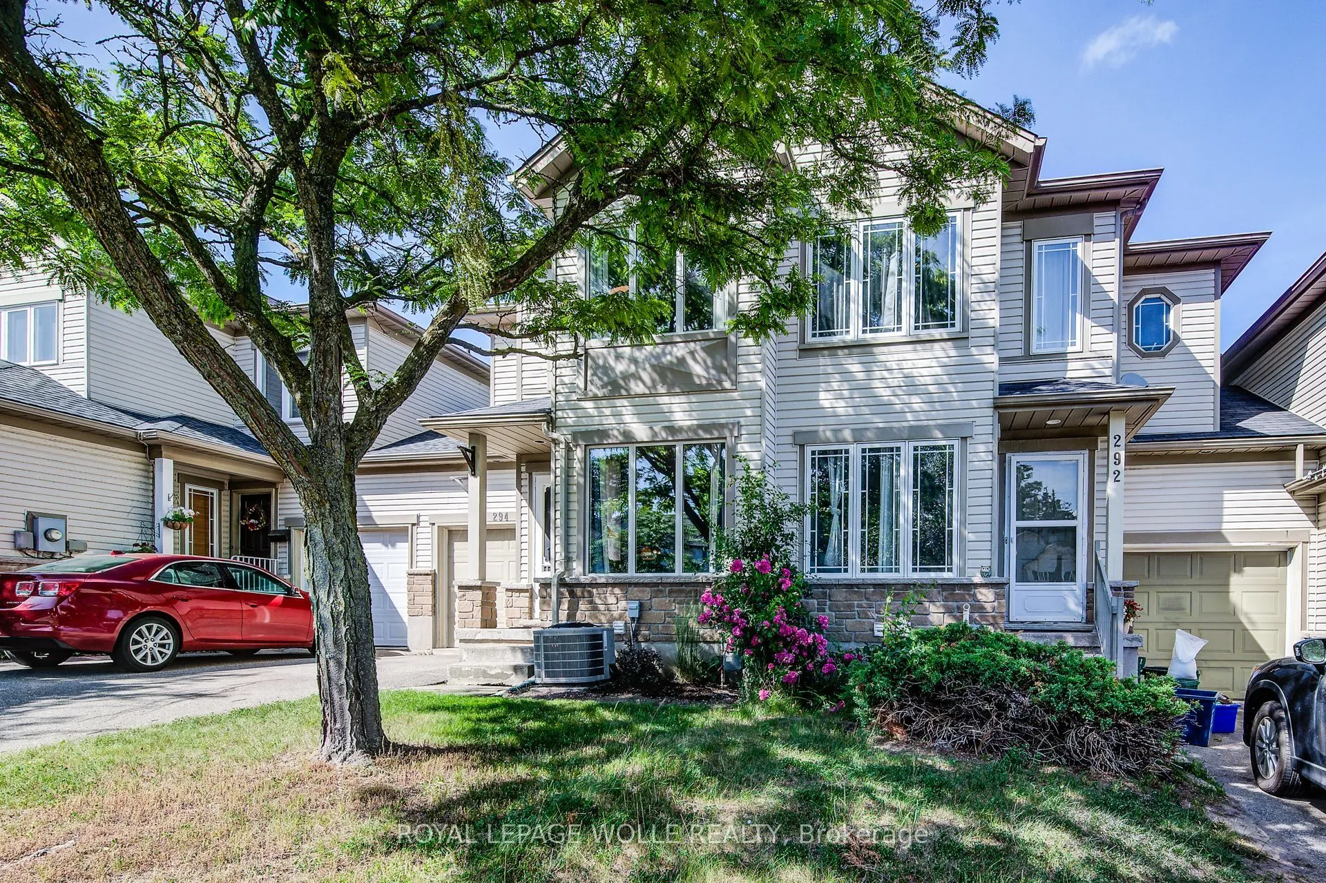 294 Pastern Trail