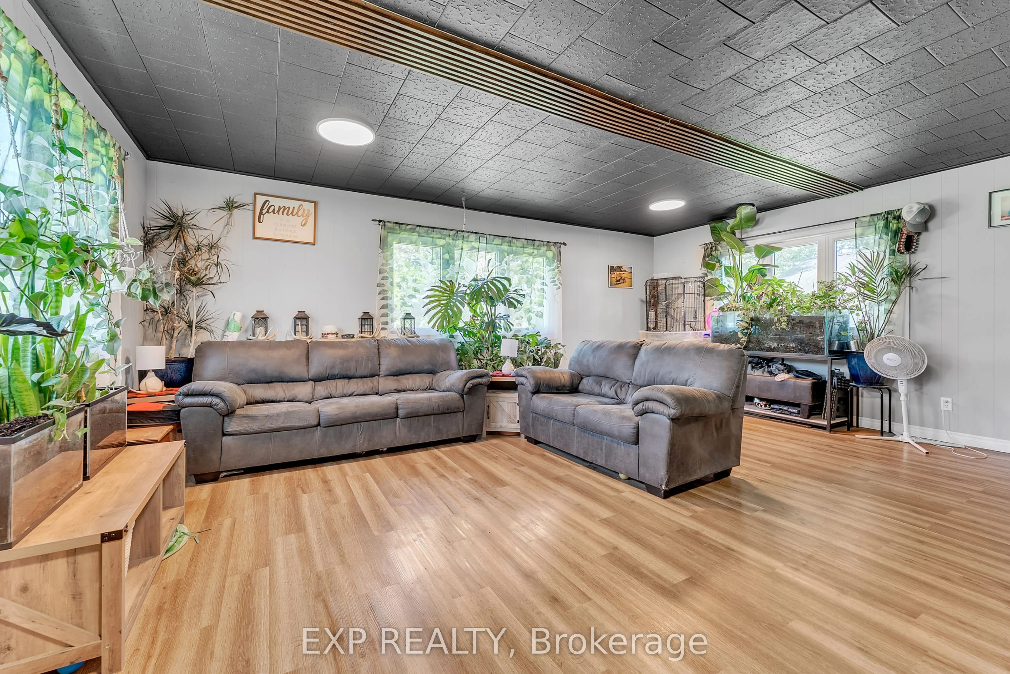 113 Pleasant Drive