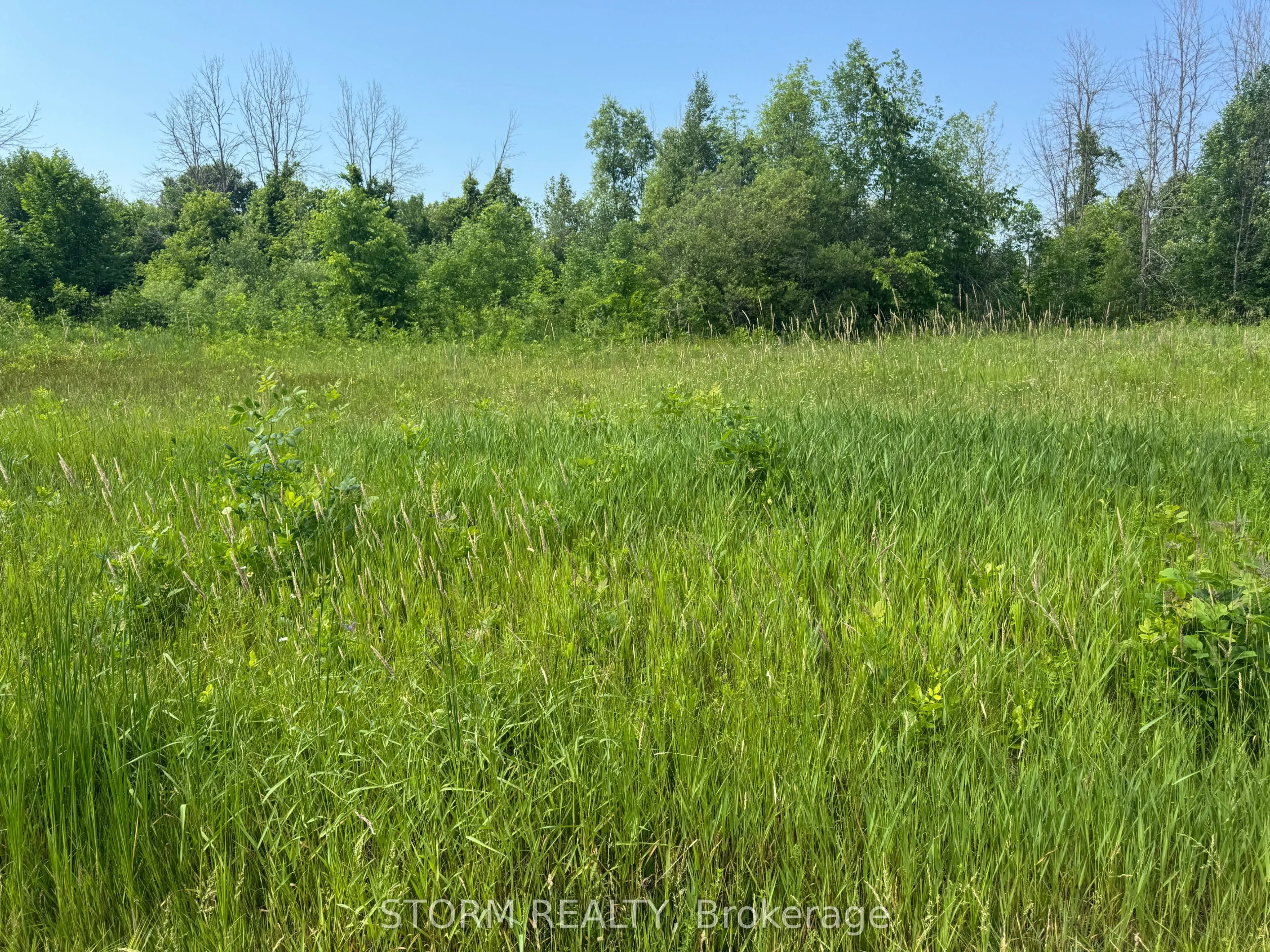 Lot 18 County 18 Road