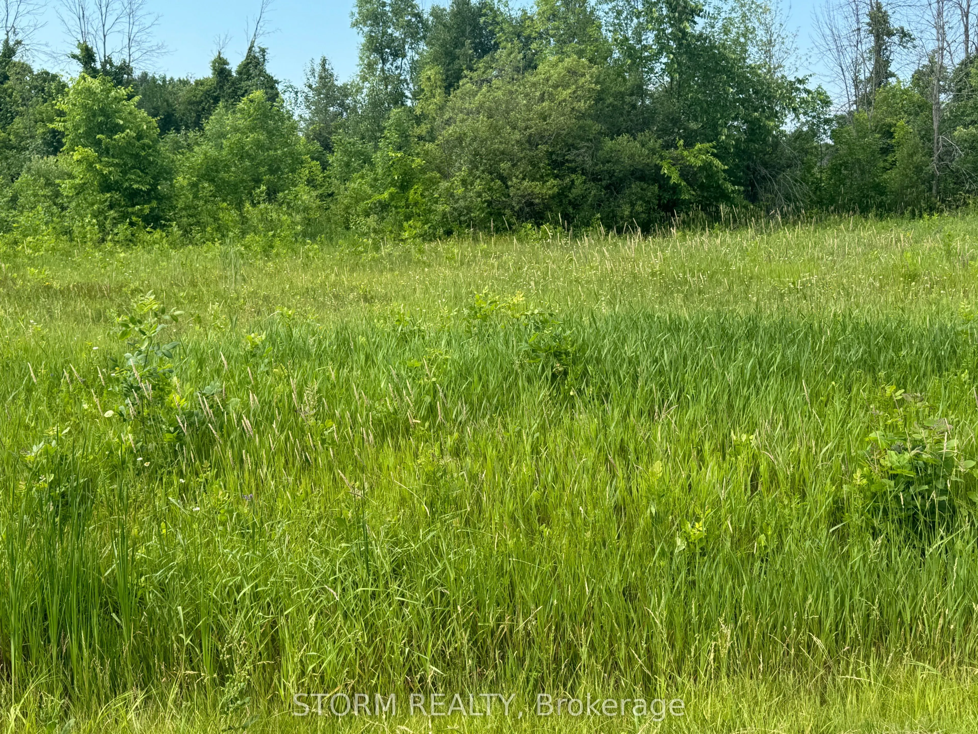 Lot 18 County 18 Road
