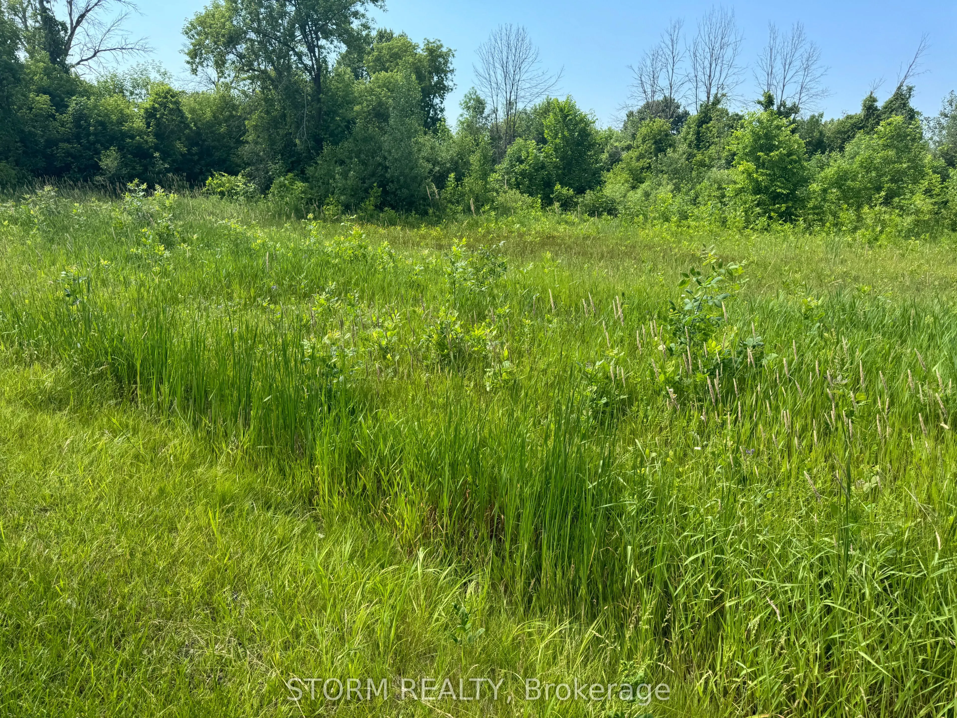 Lot 18 County 18 Road