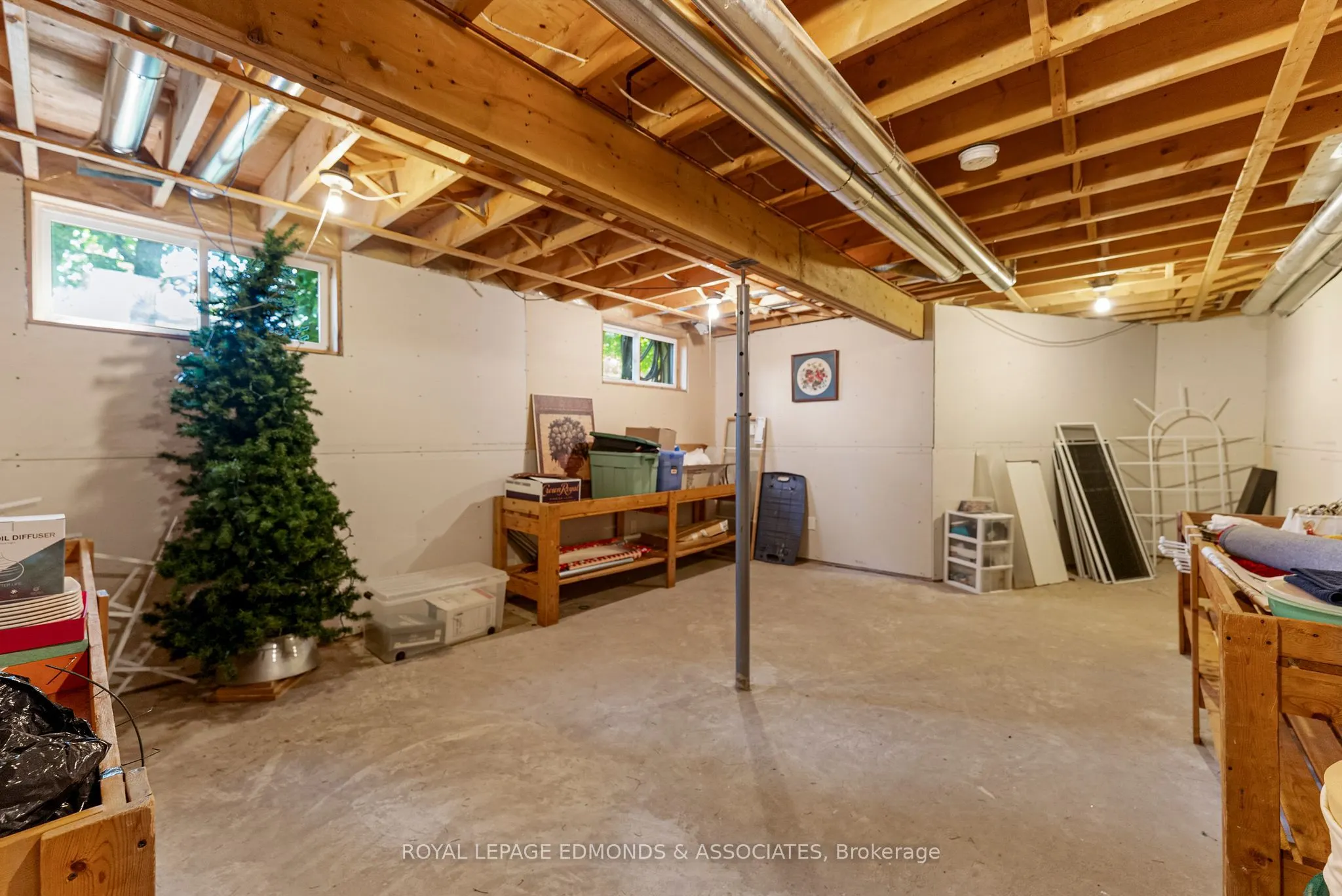 619 Cecelia Street