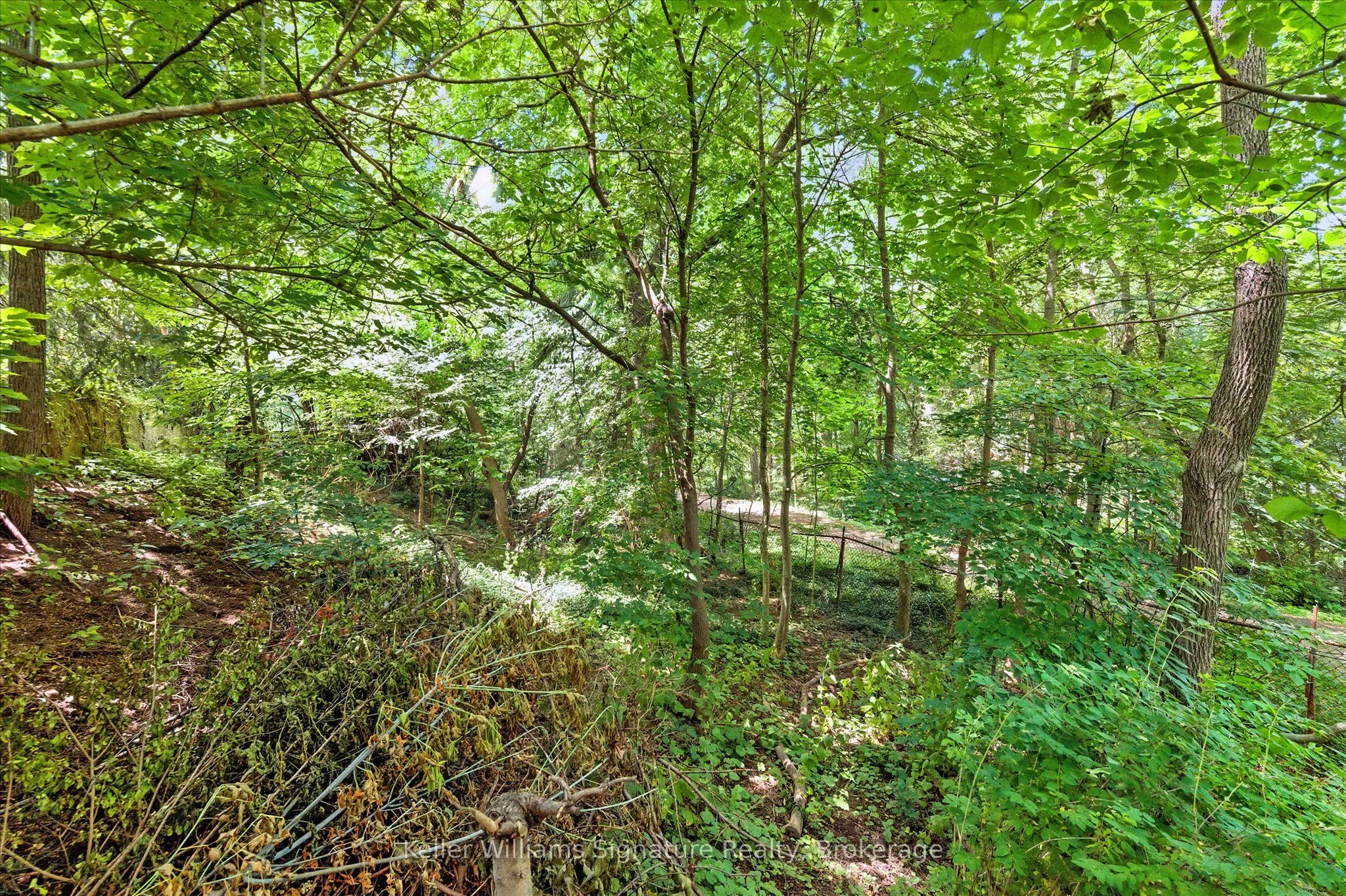 18 Moonglow Place