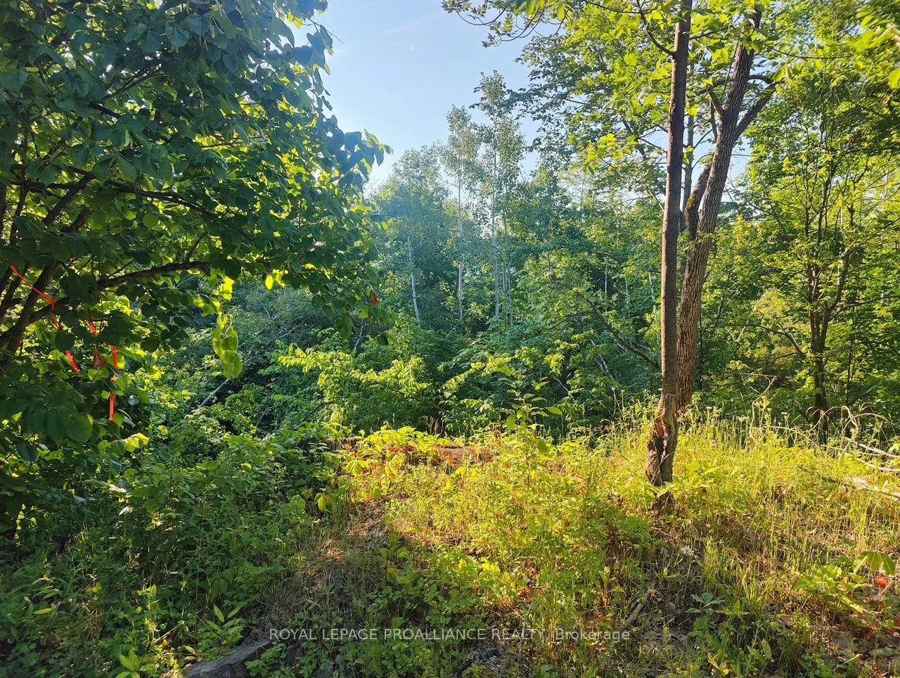 621A Cook Road