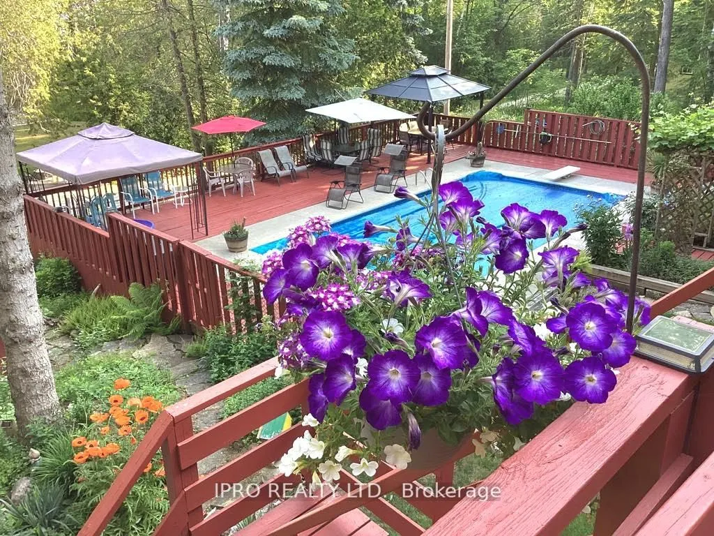 502495 Grey Road 1