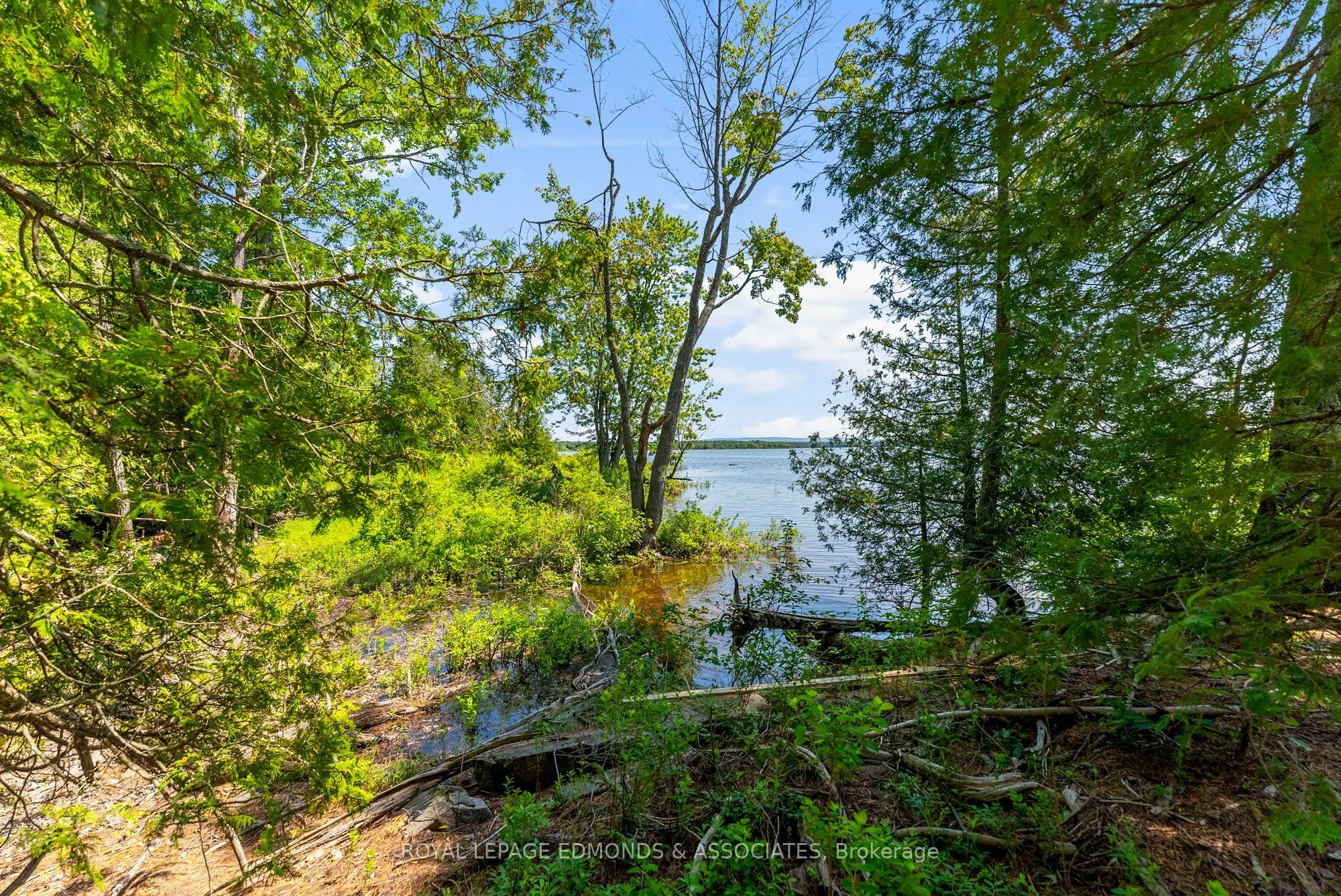 0 Riddell Island