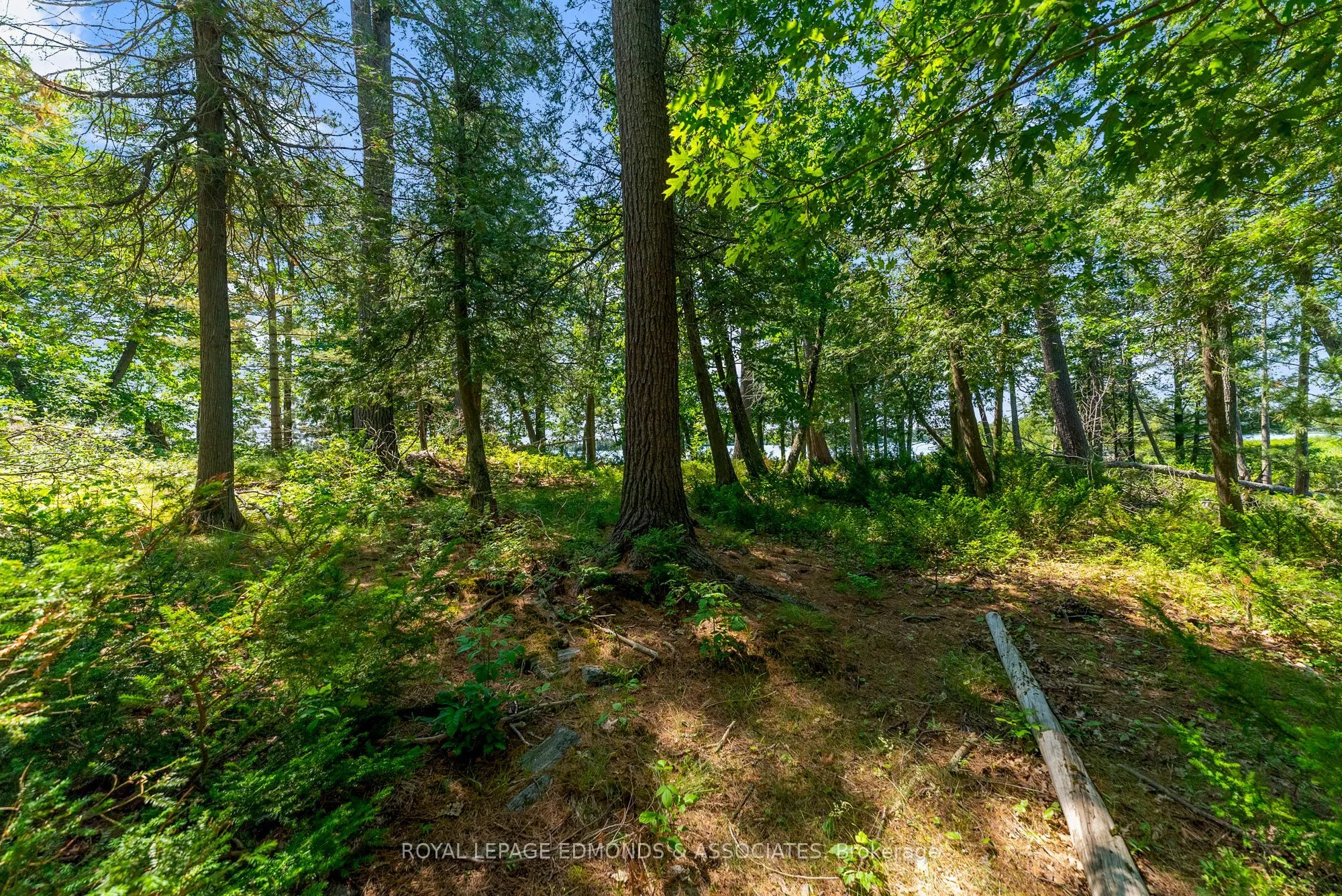 0 Riddell Island