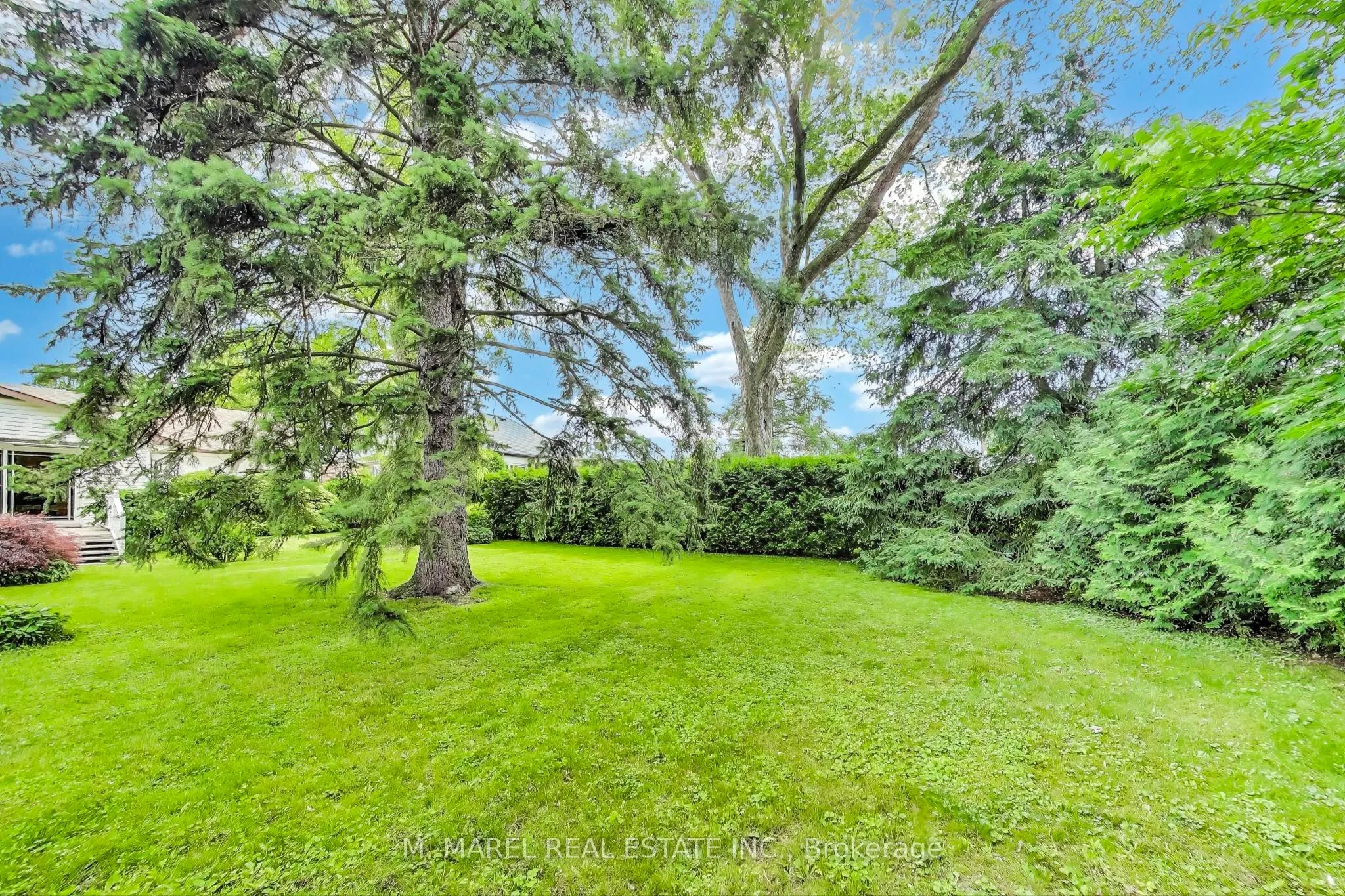 9 Avalon Avenue