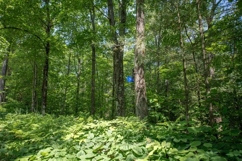 212 Wild Rice Trail SE
