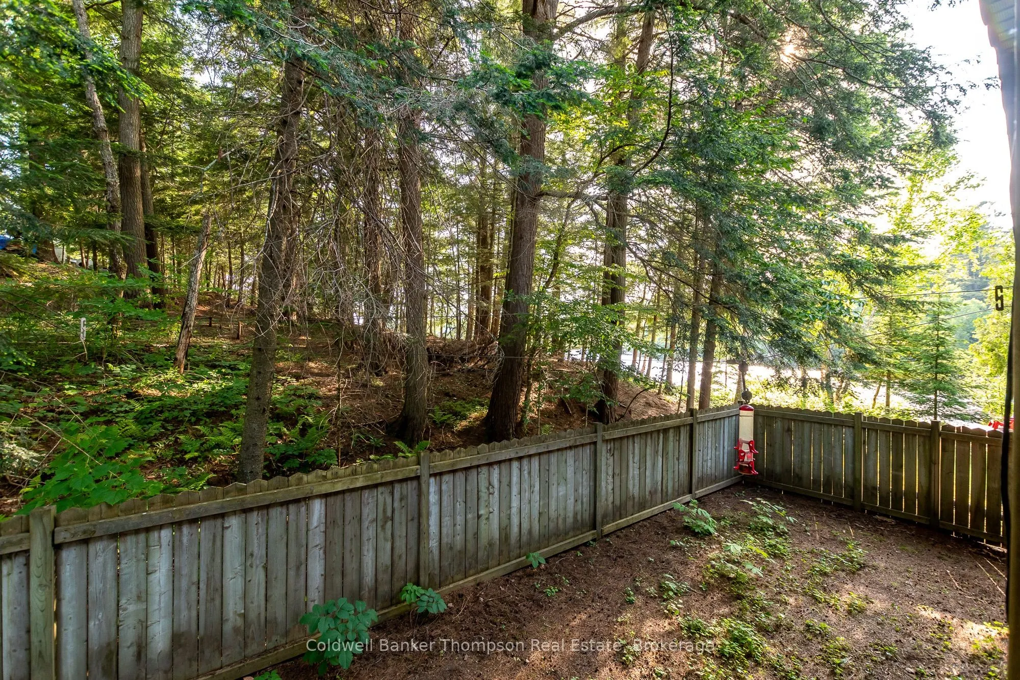 215 Ena Drive