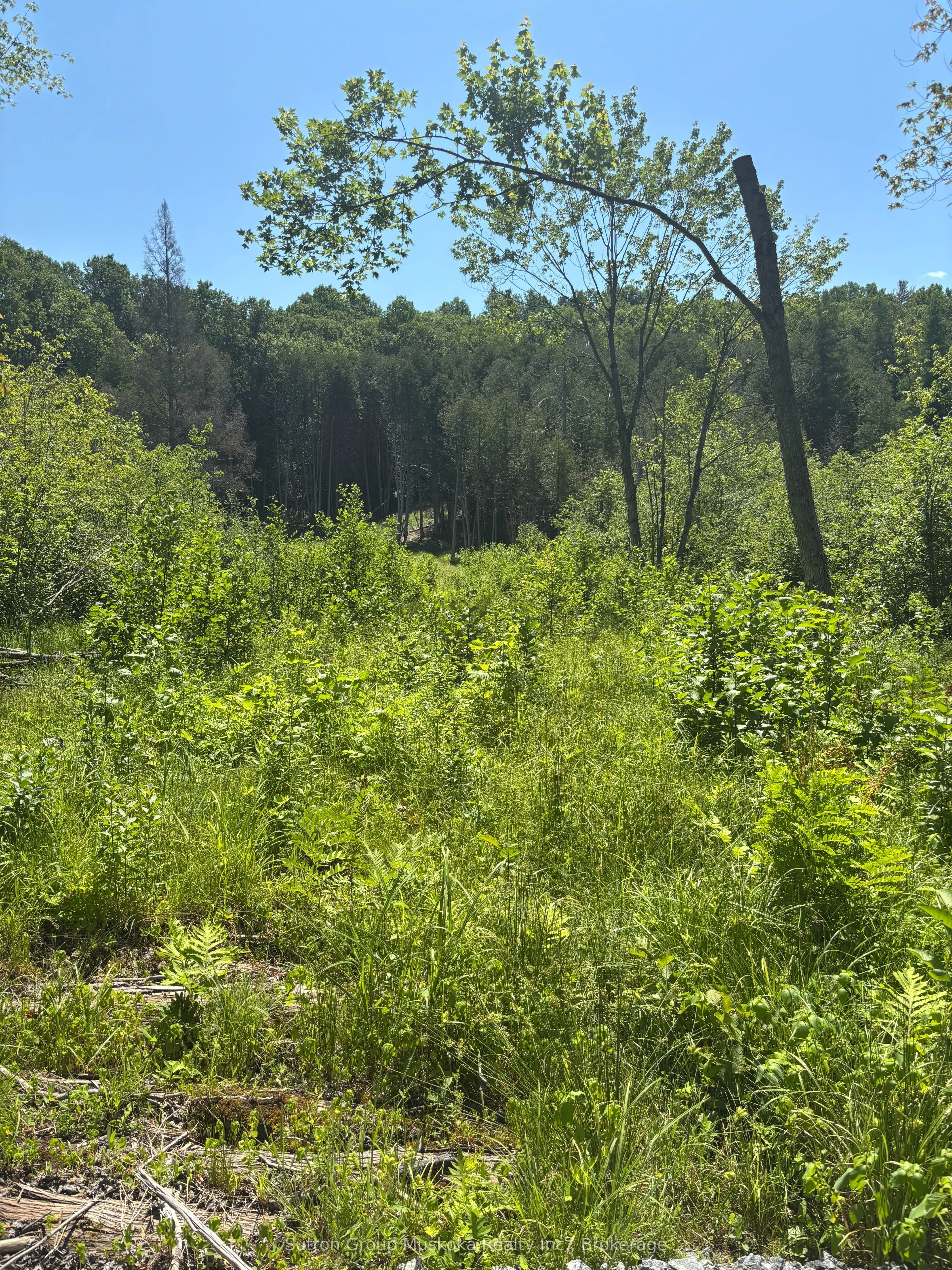 0 Rosseau Lake Rd. 1 Road