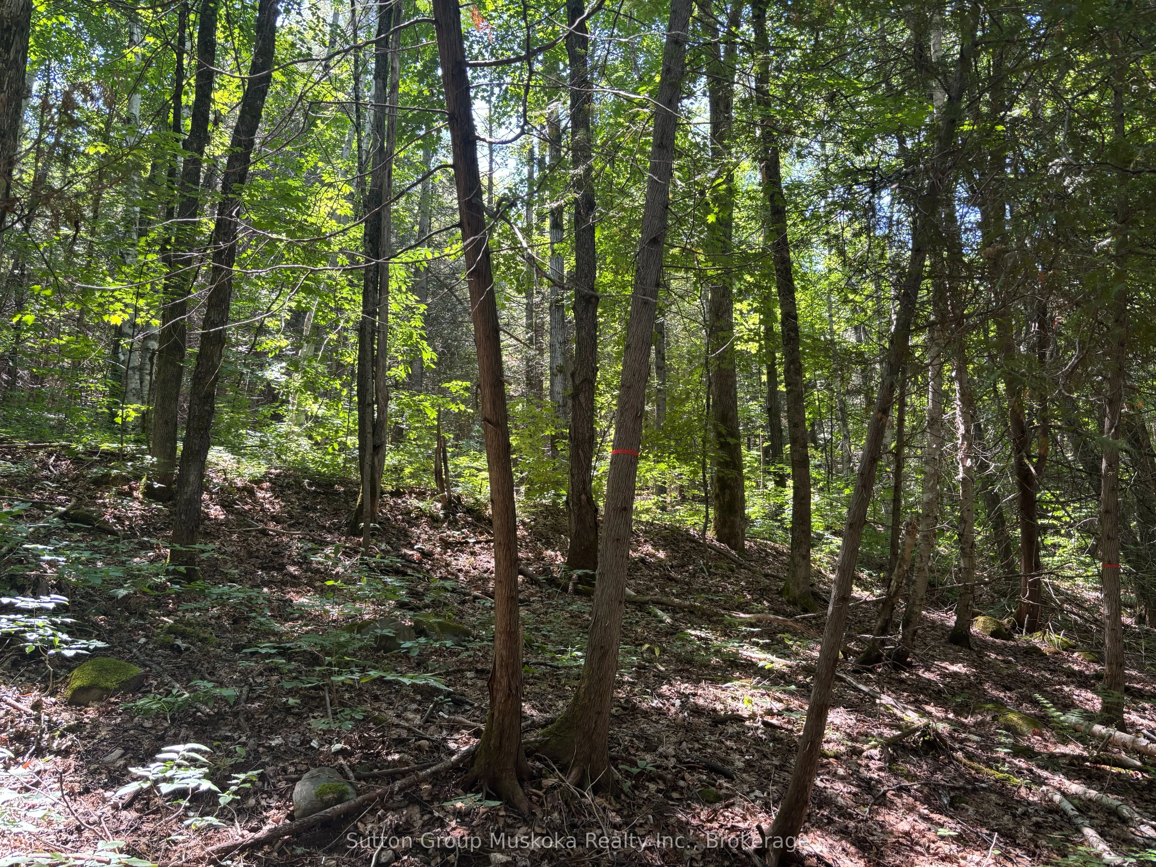 0 Rosseau Lake Rd. 1 Road