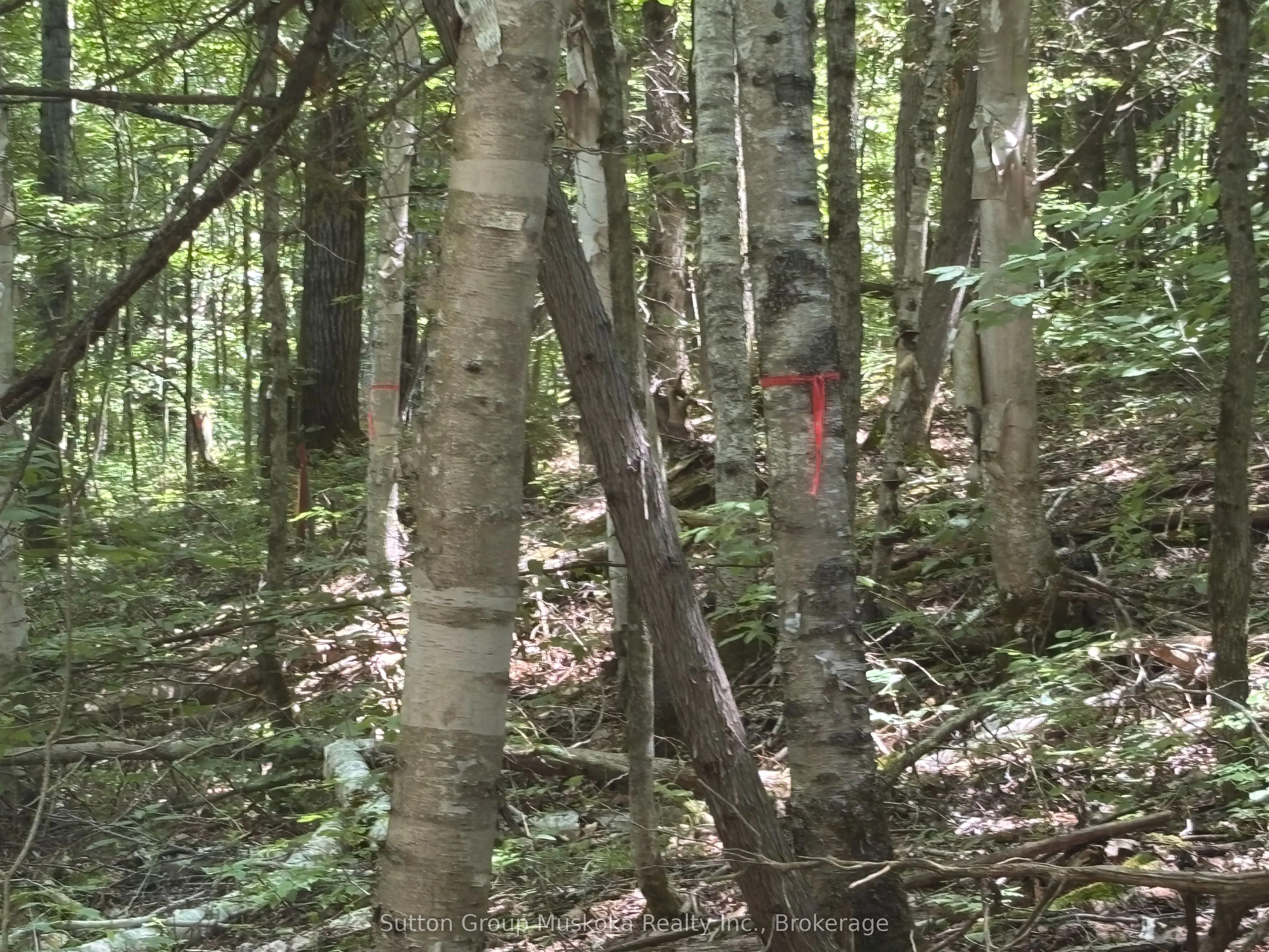 0 Rosseau Lake Rd. 1 Road