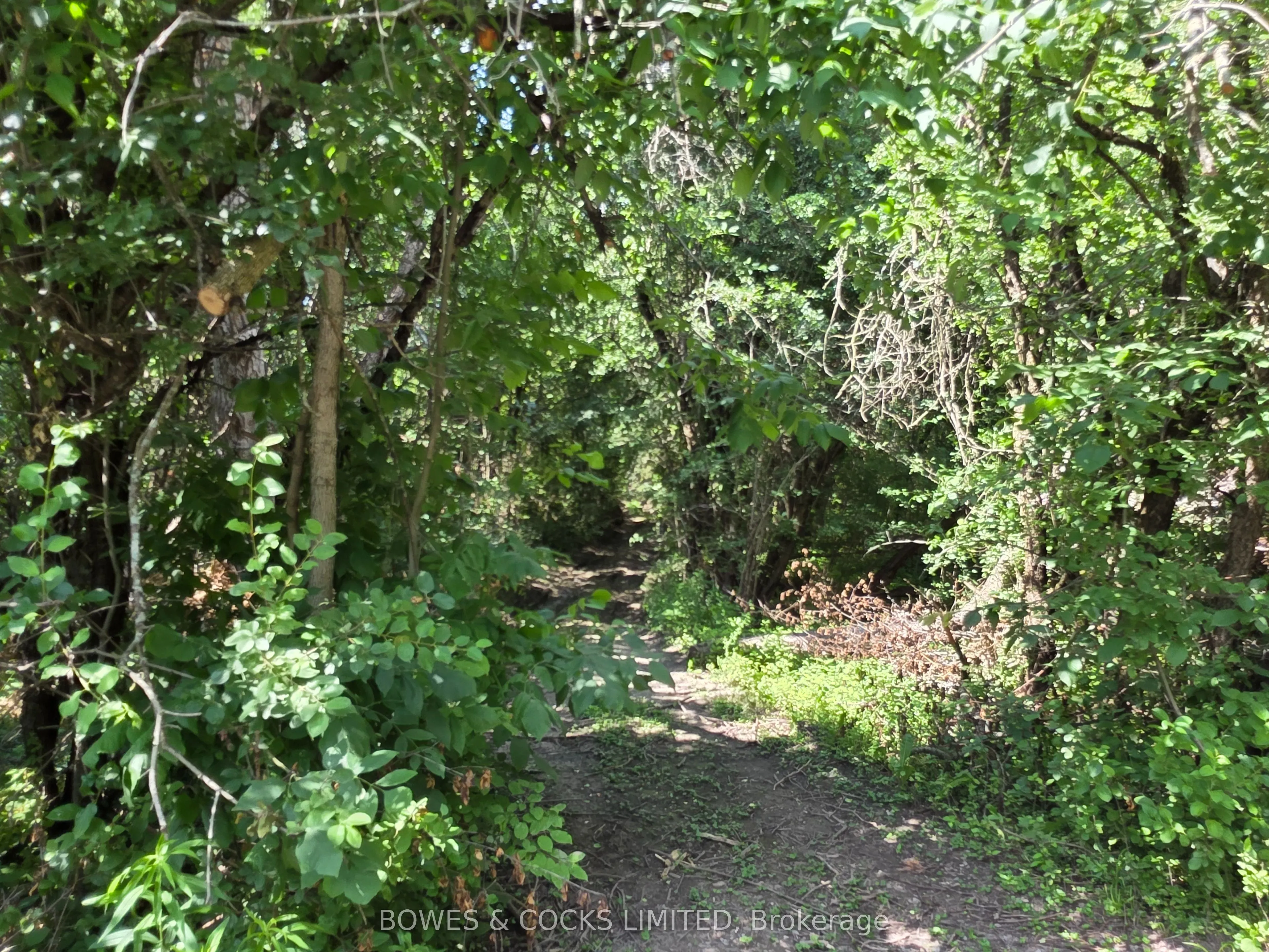 0 Cedarview Drive