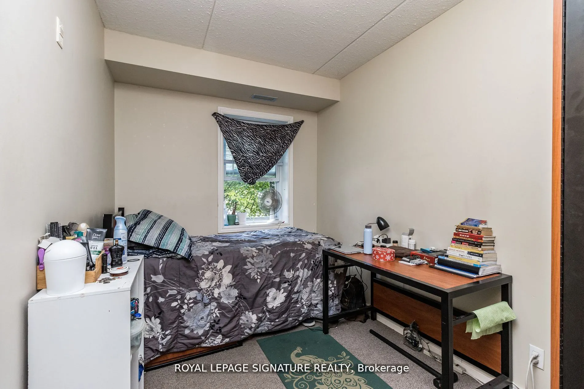 253 Lester Street, #101