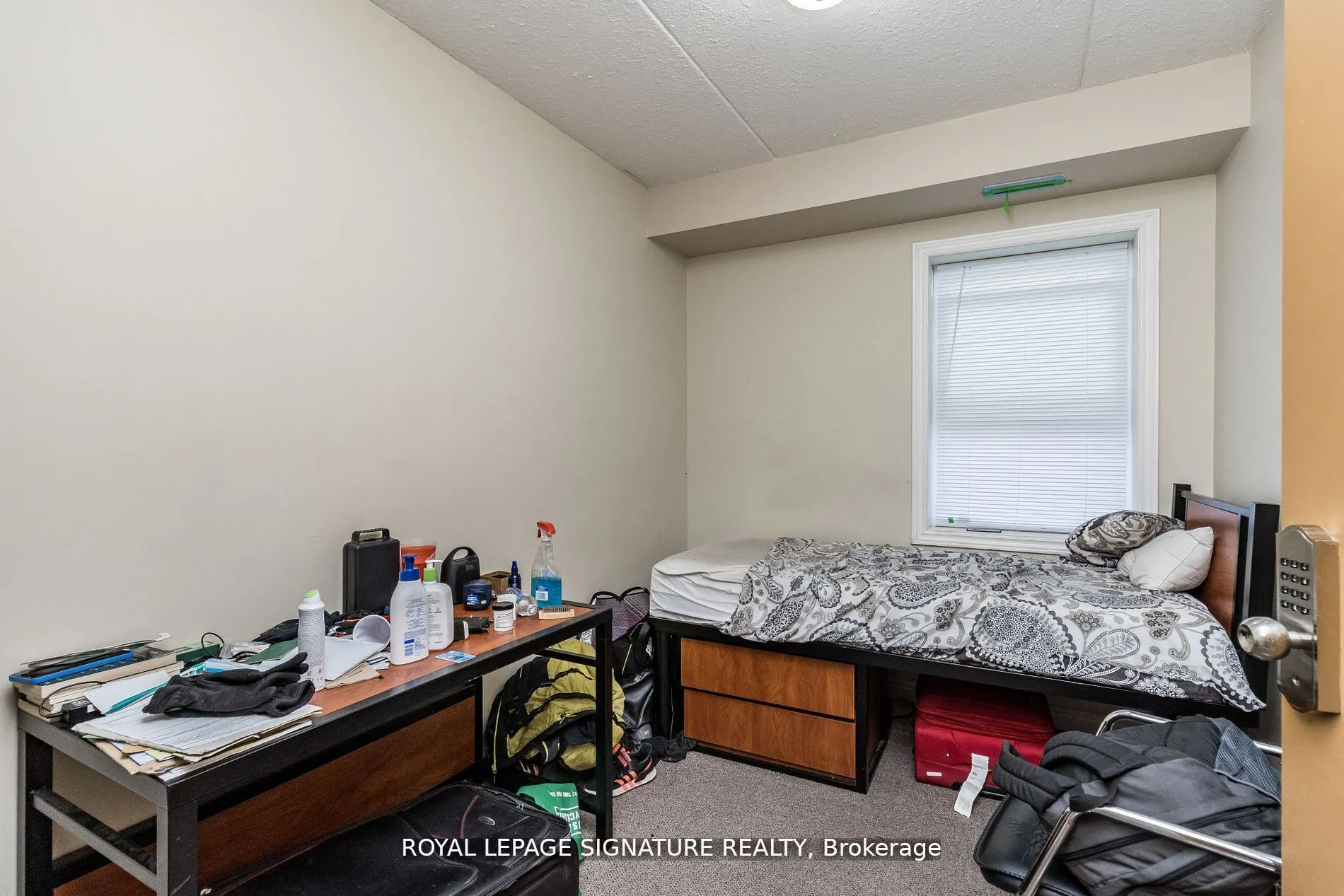 253 Lester Street, #101
