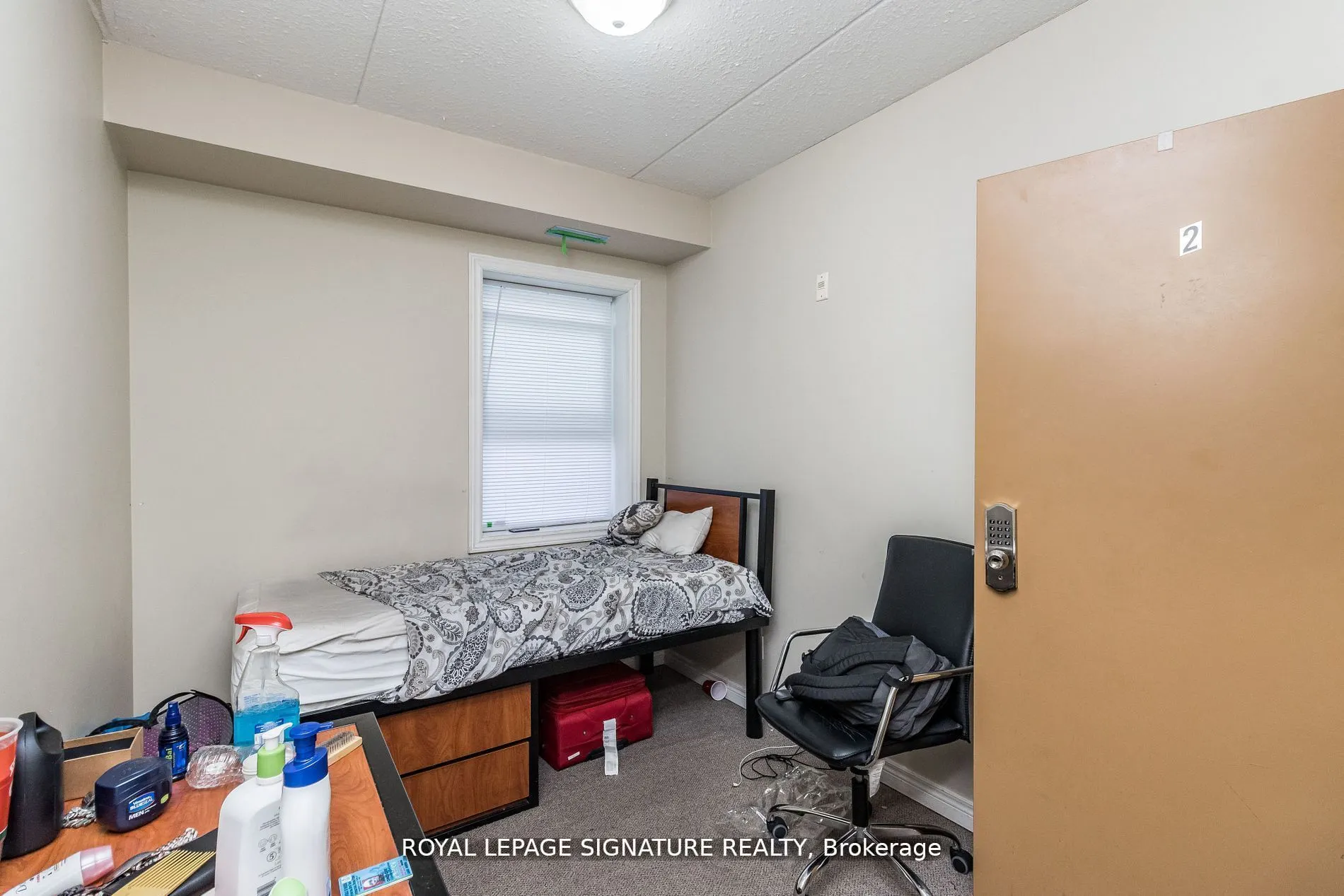 253 Lester Street, #101