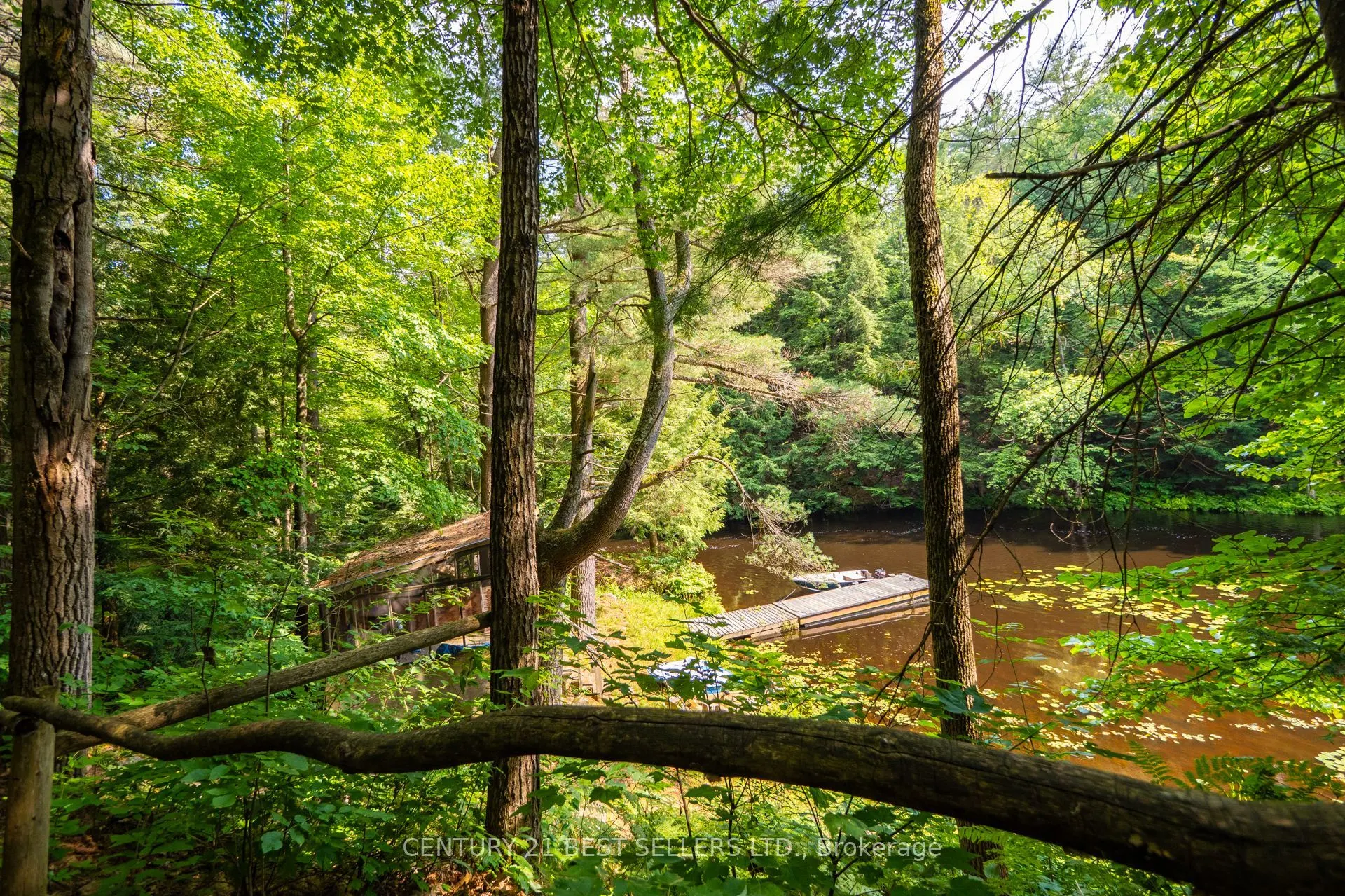 1622 Houseys Rapids Road