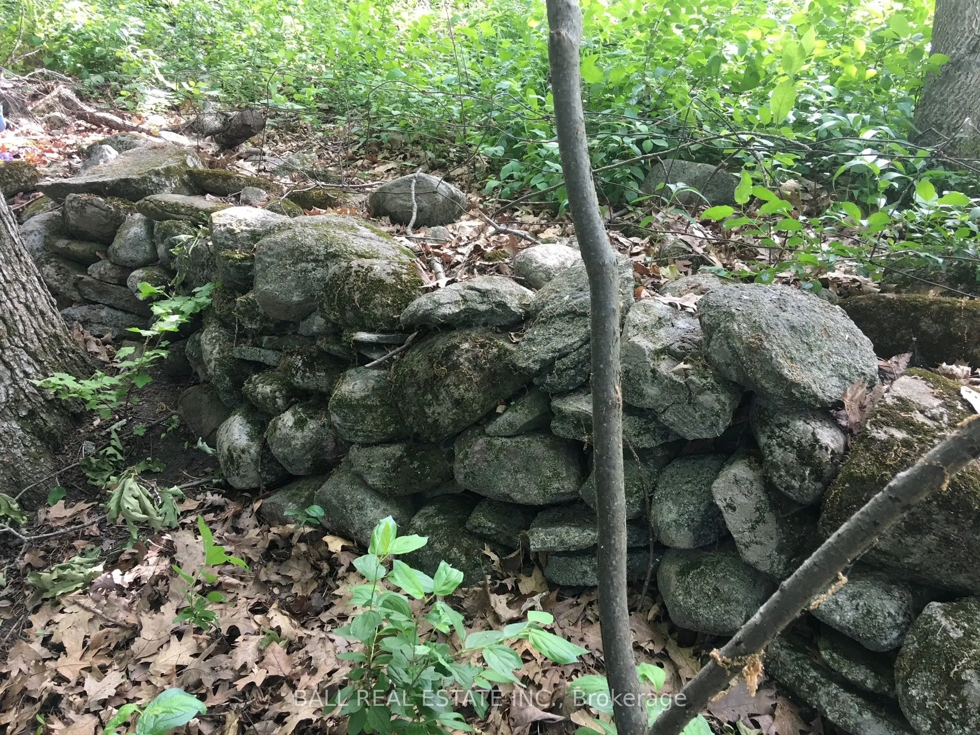 112 Cow Island