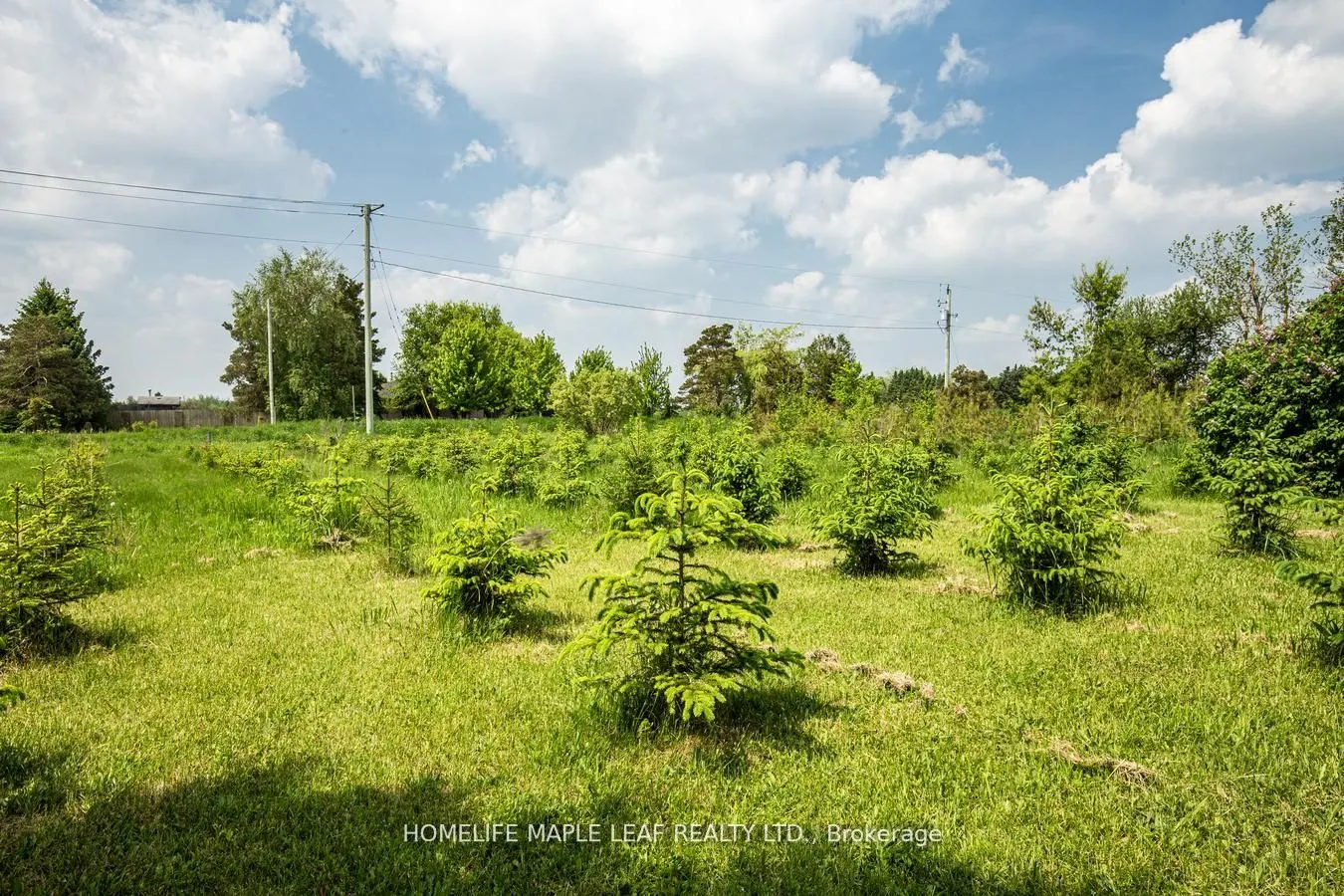 64149 County Road 3
