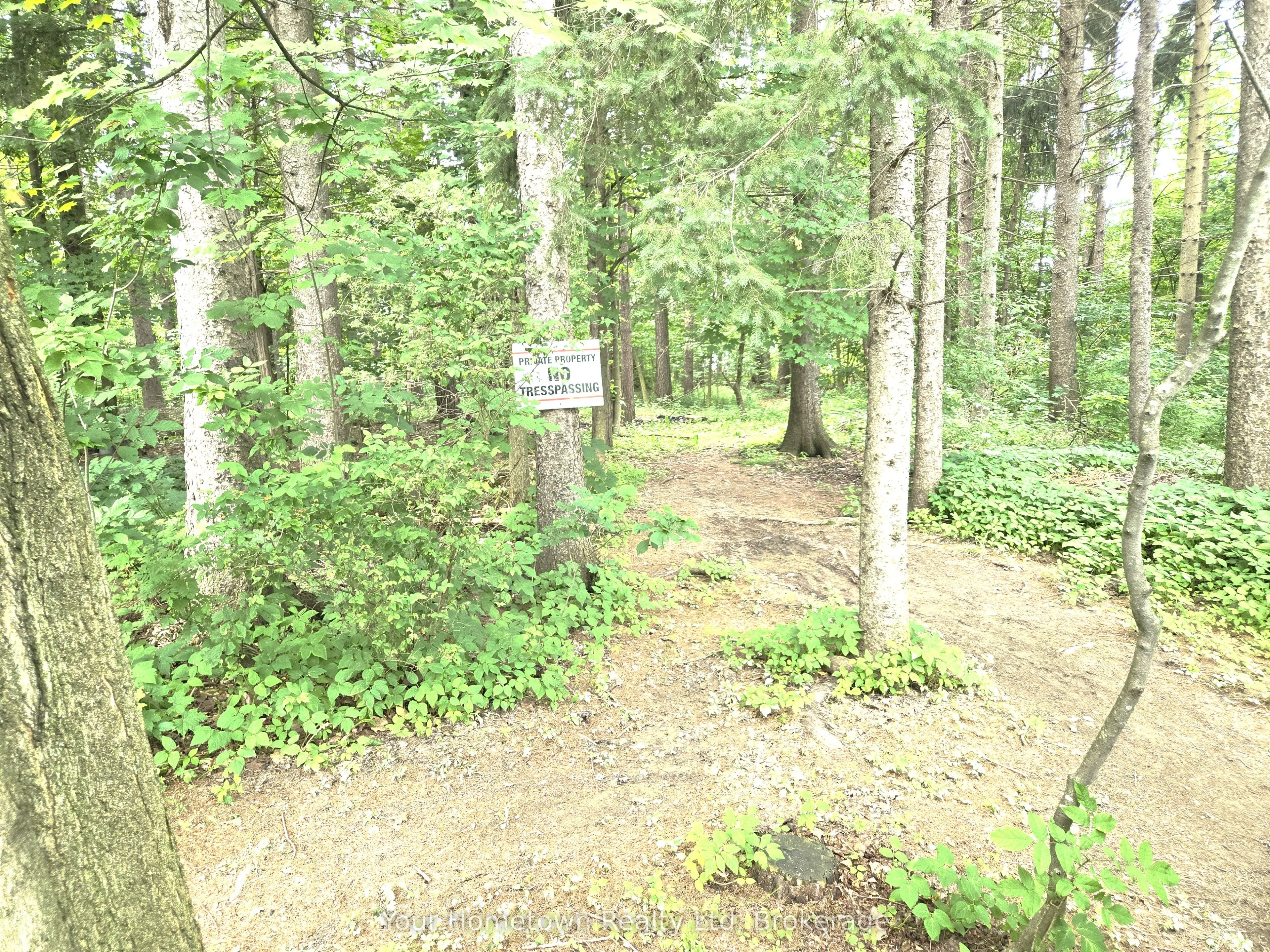 127 Cedar Crescent