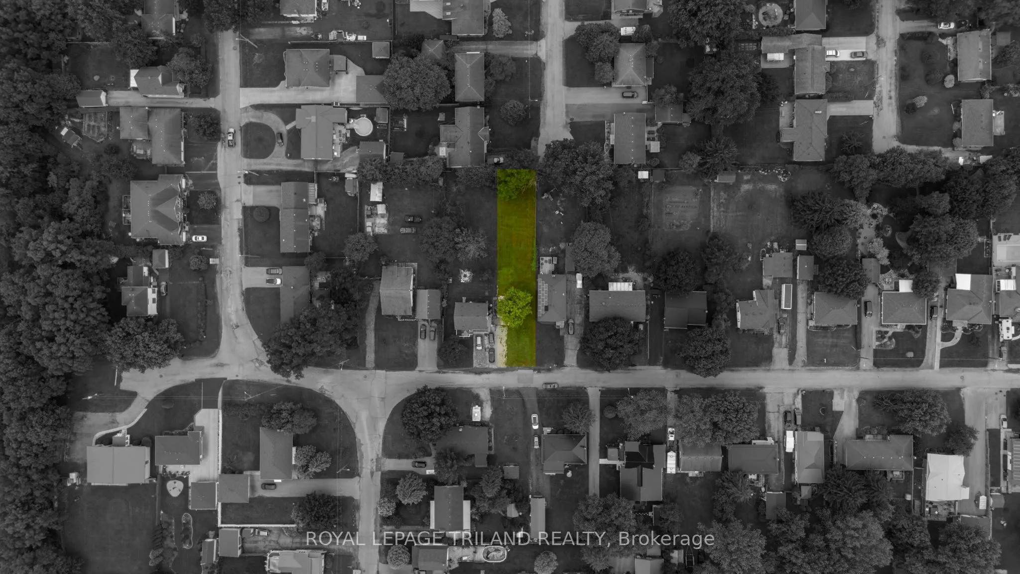 242 Alma Street