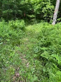 1085 Old Mine Road
