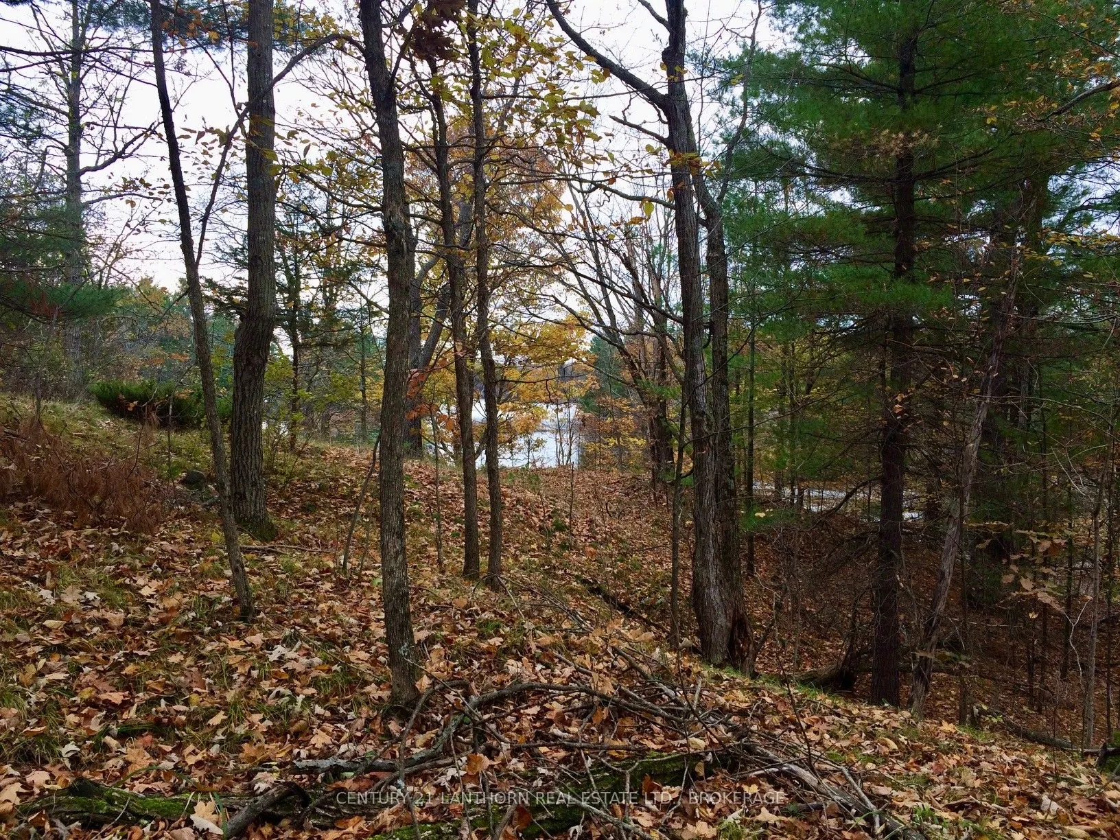 1085 Old Mine Road
