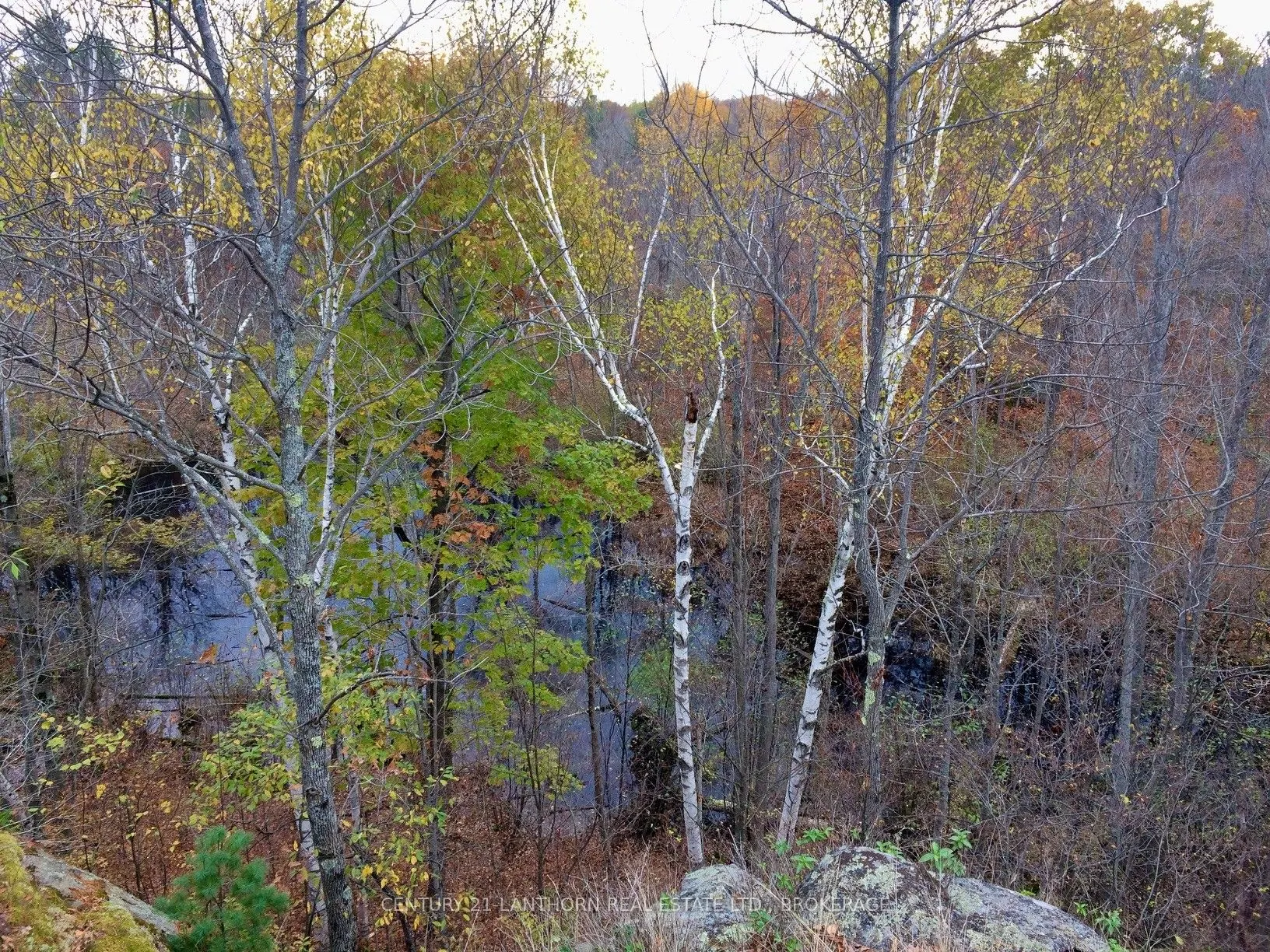 1085 Old Mine Road