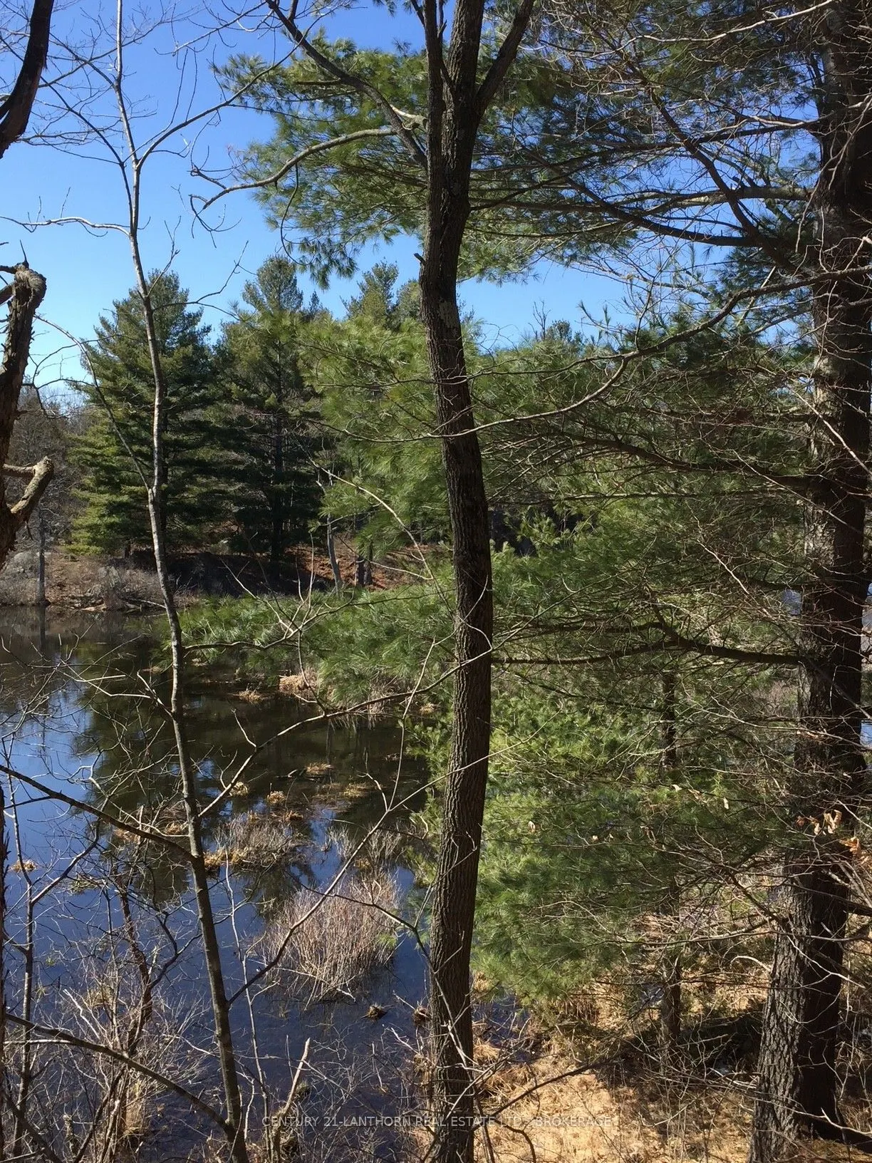 1085 Old Mine Road