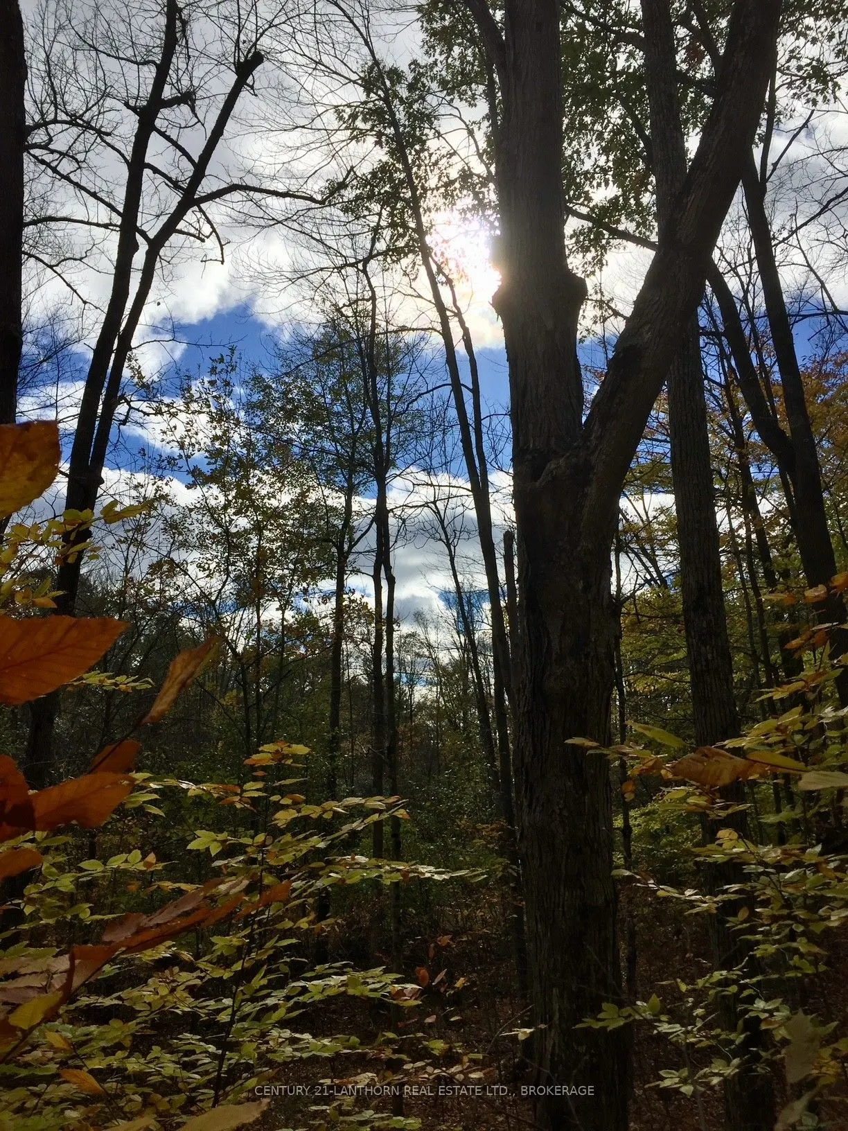 1085 Old Mine Road