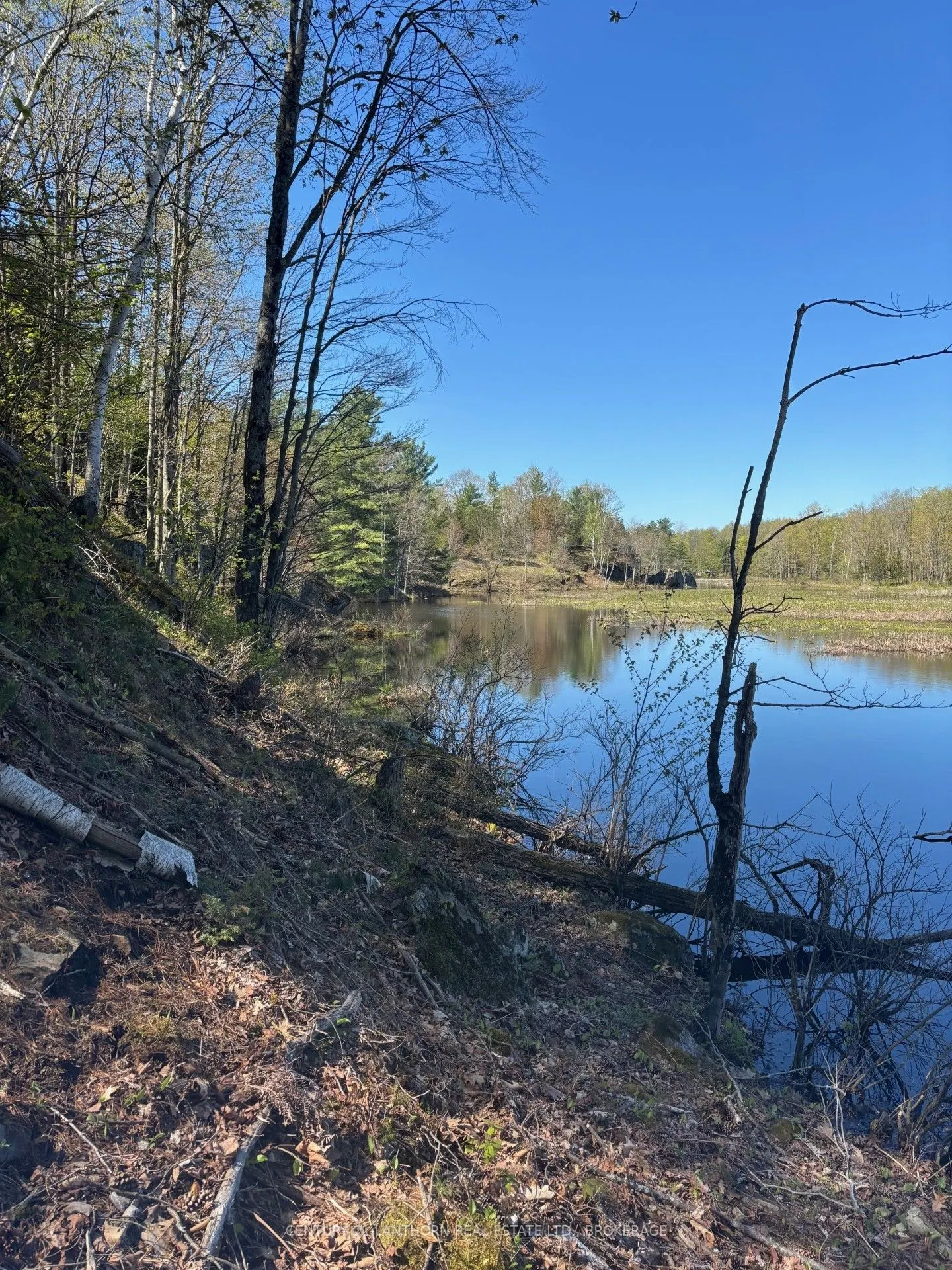 1085 Old Mine Road