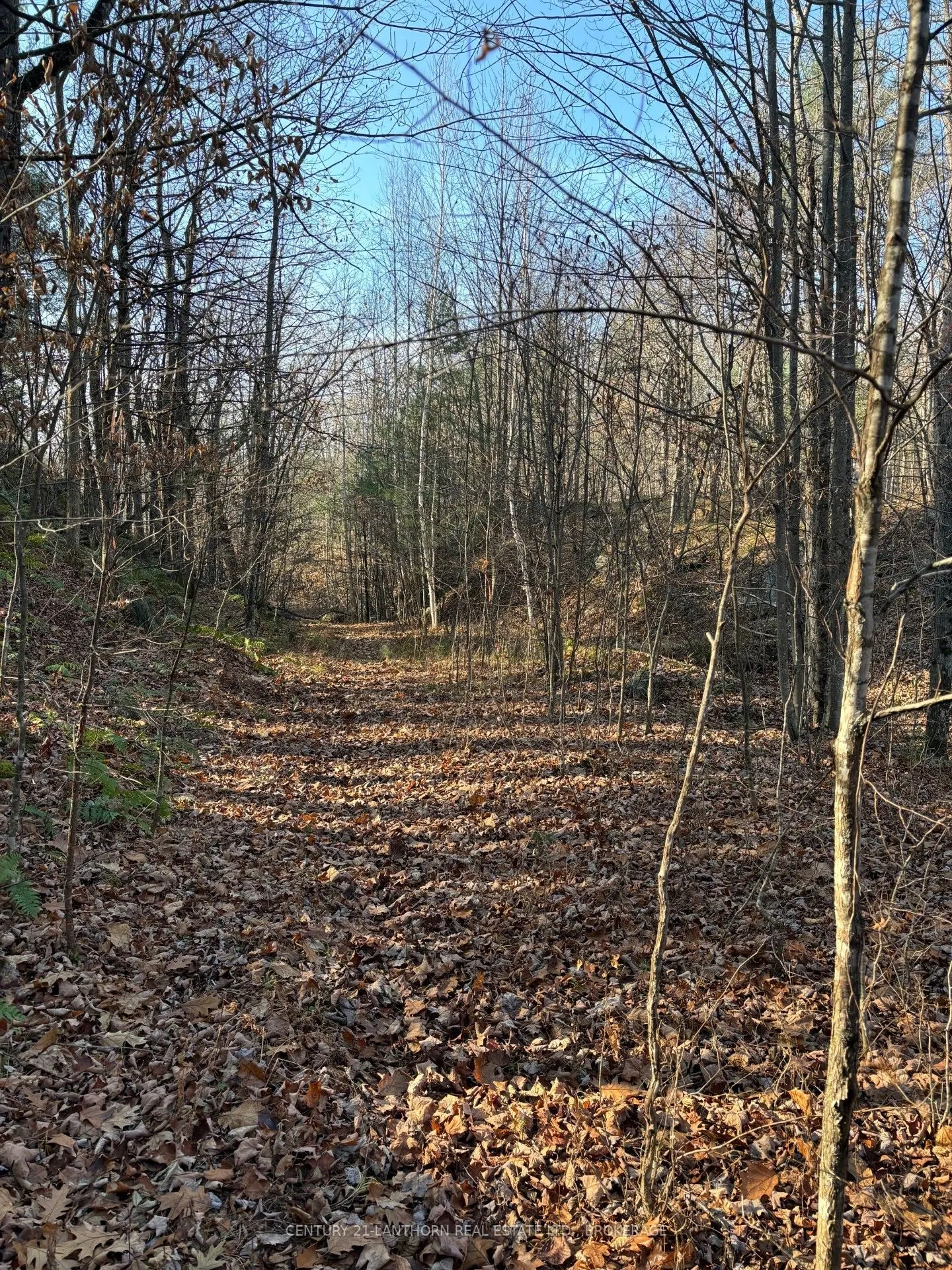 1085 Old Mine Road