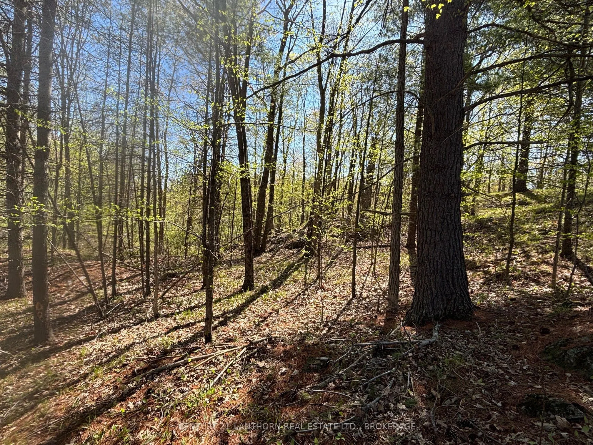 1085 Old Mine Road
