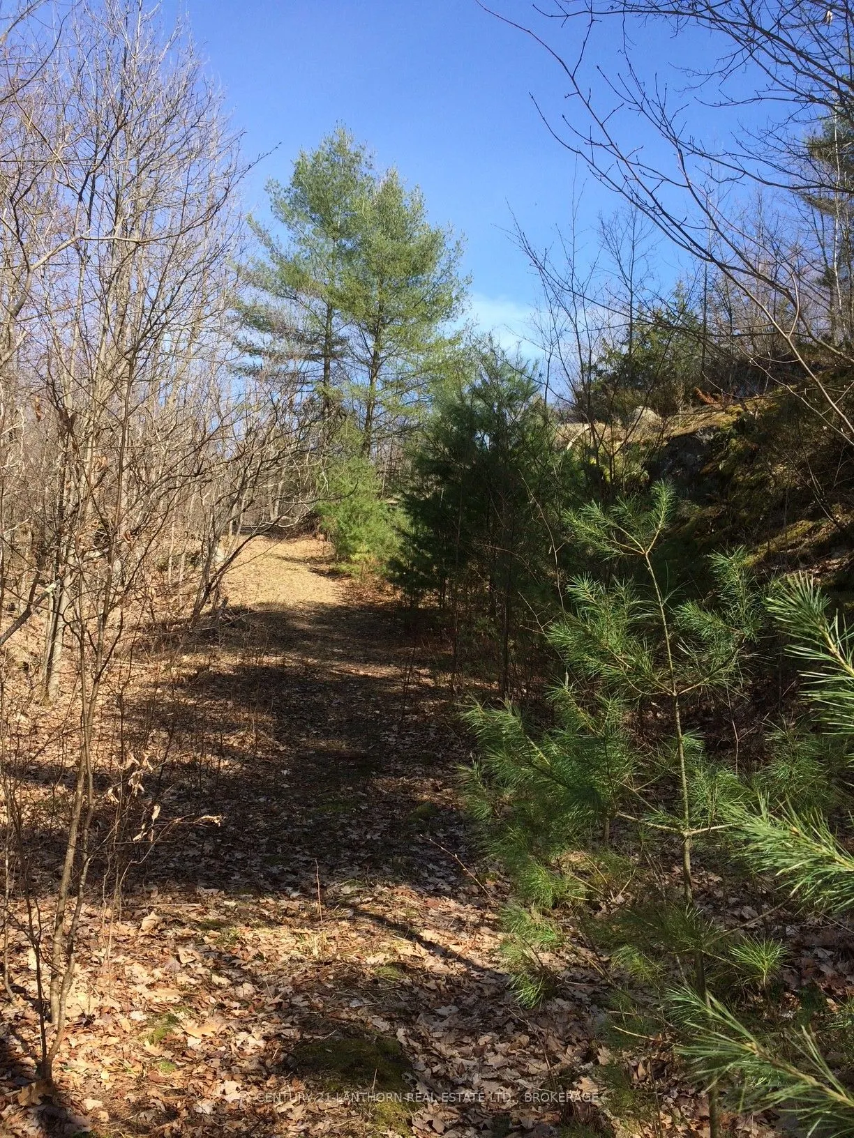 1085 Old Mine Road