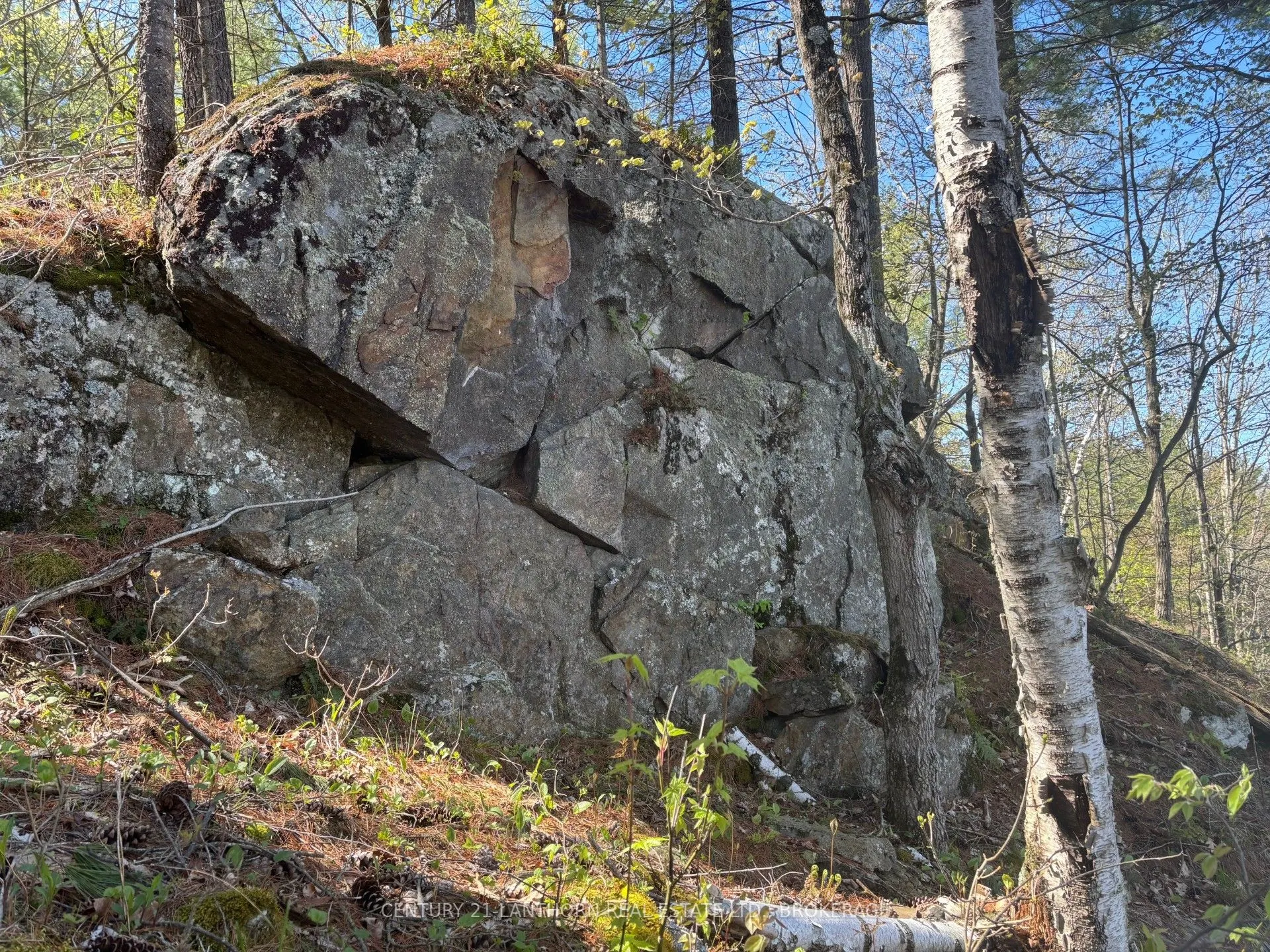 1085 Old Mine Road