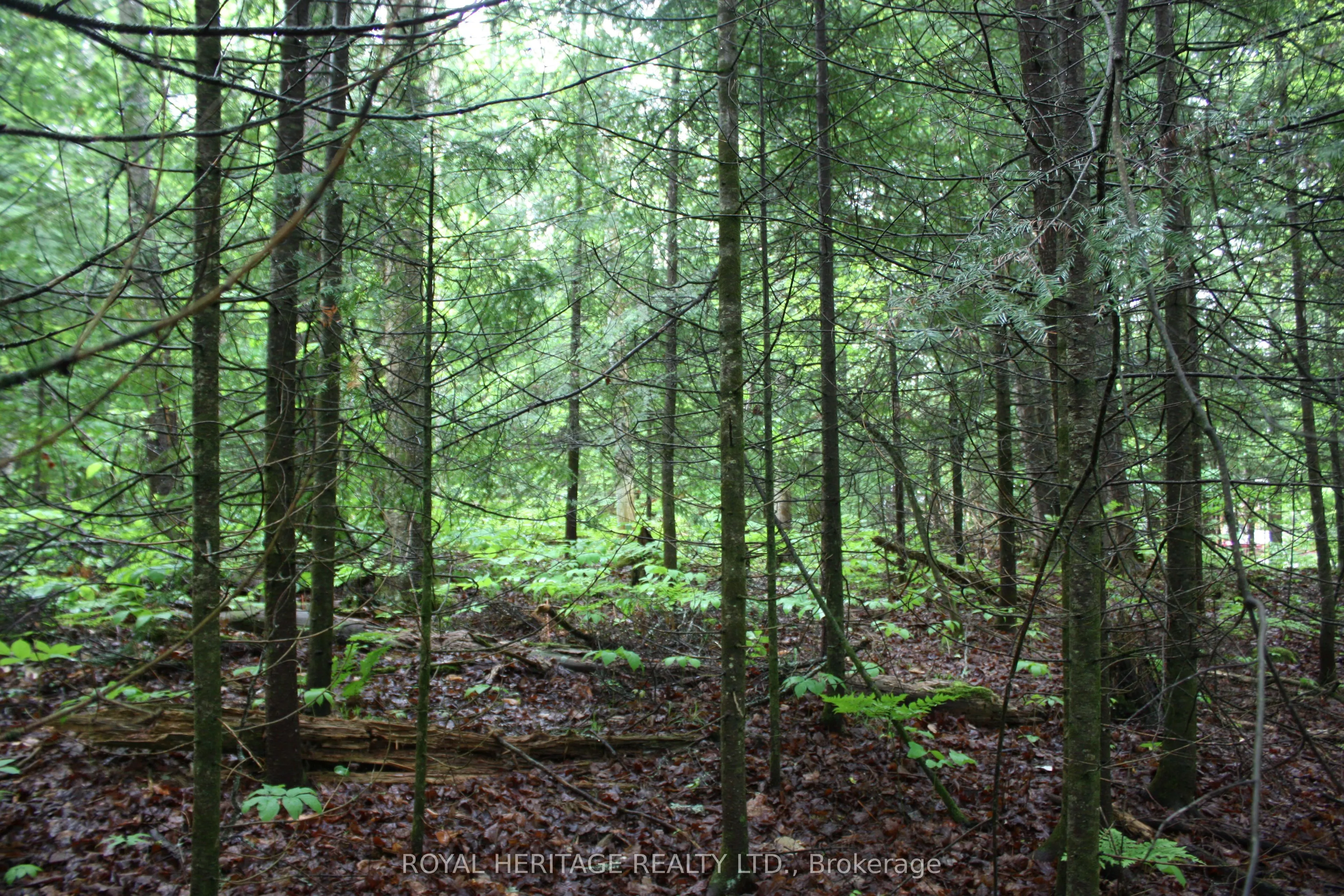0 Quarry Road