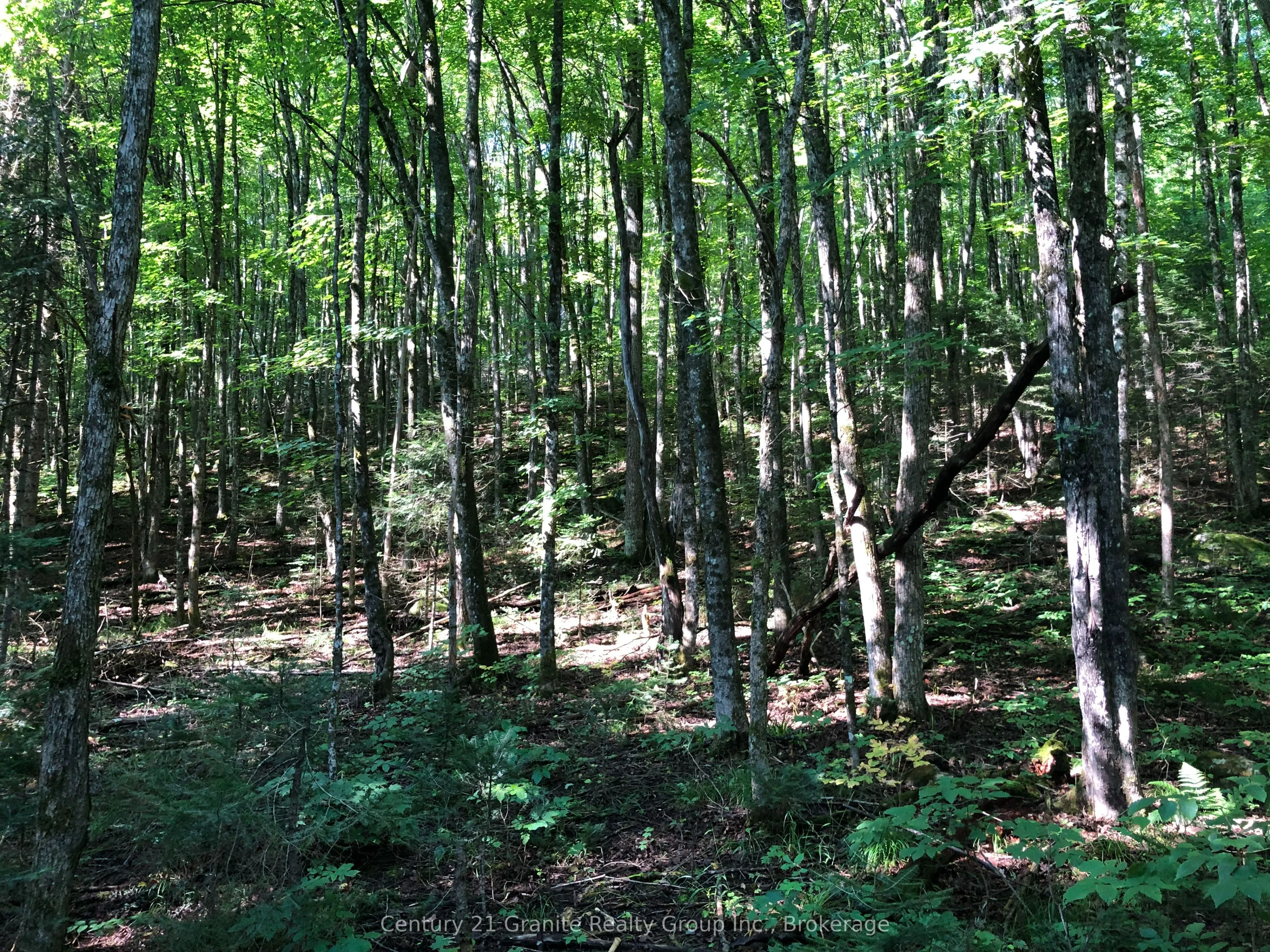 LOT 6-10 MOON Road